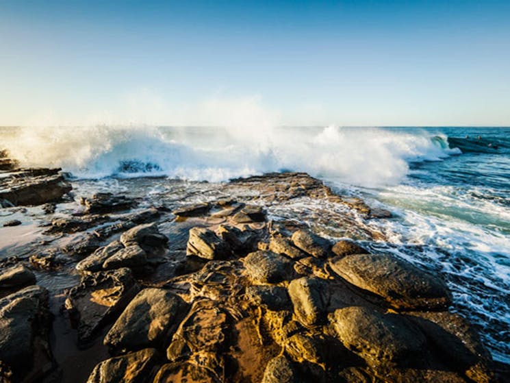 Garie Beach, Royal National Park. Photo: David Finnegan/NSW Government