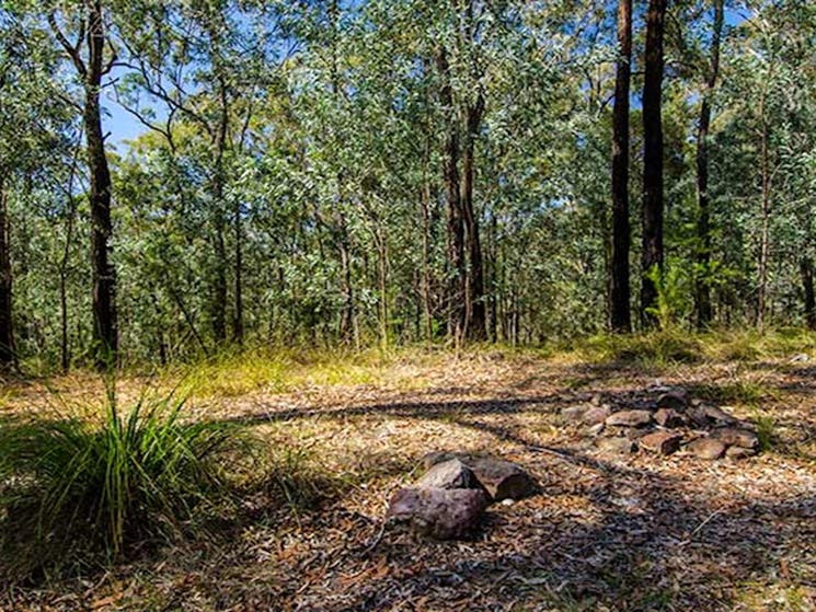 Marramarra National Park, Gentlemans Halt campground. Photo: John Spencer/NSW Government