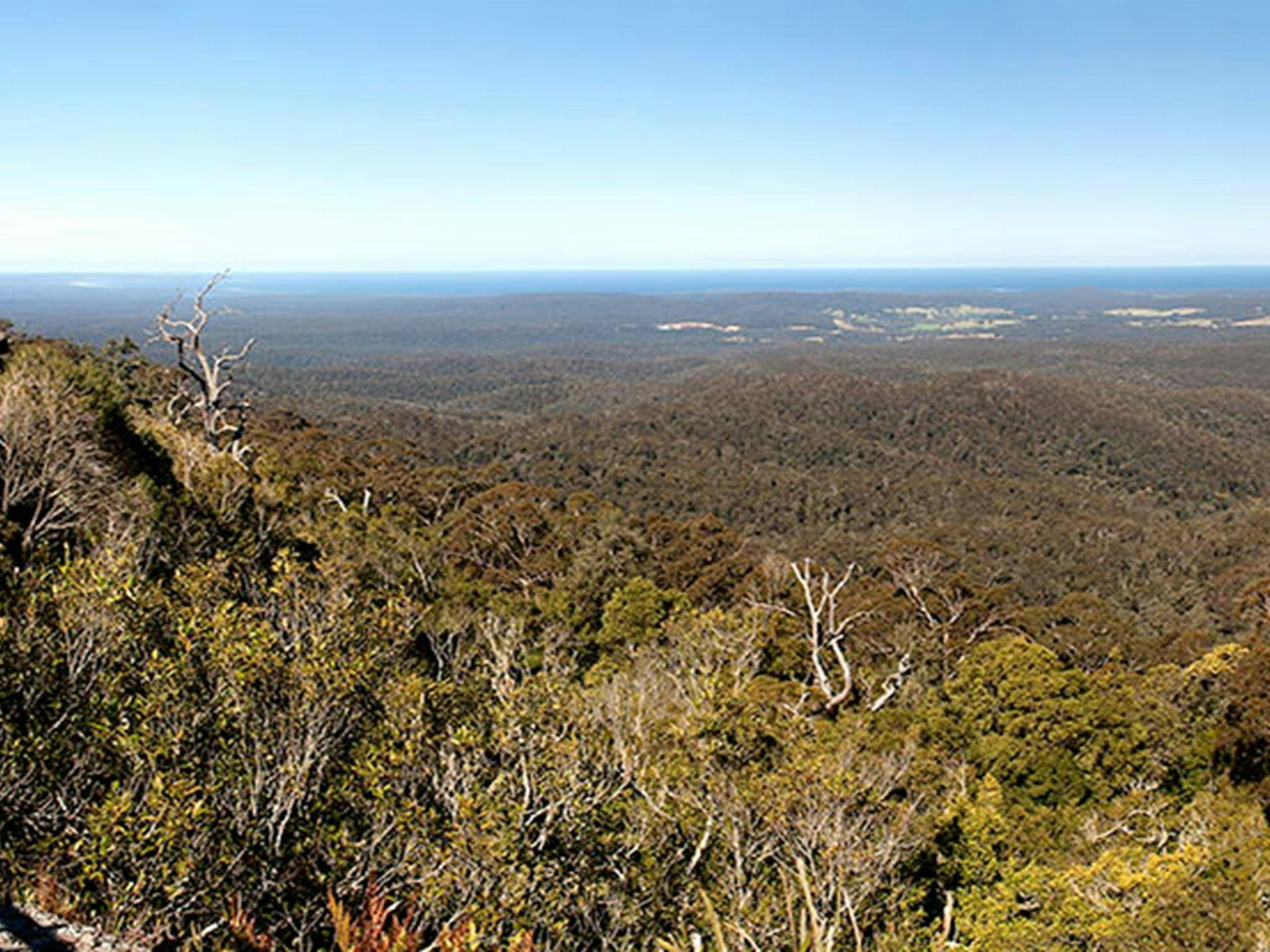George Boyd lookout, Morton National Park. Photo: Michael Van Ewijk &copy; OEH