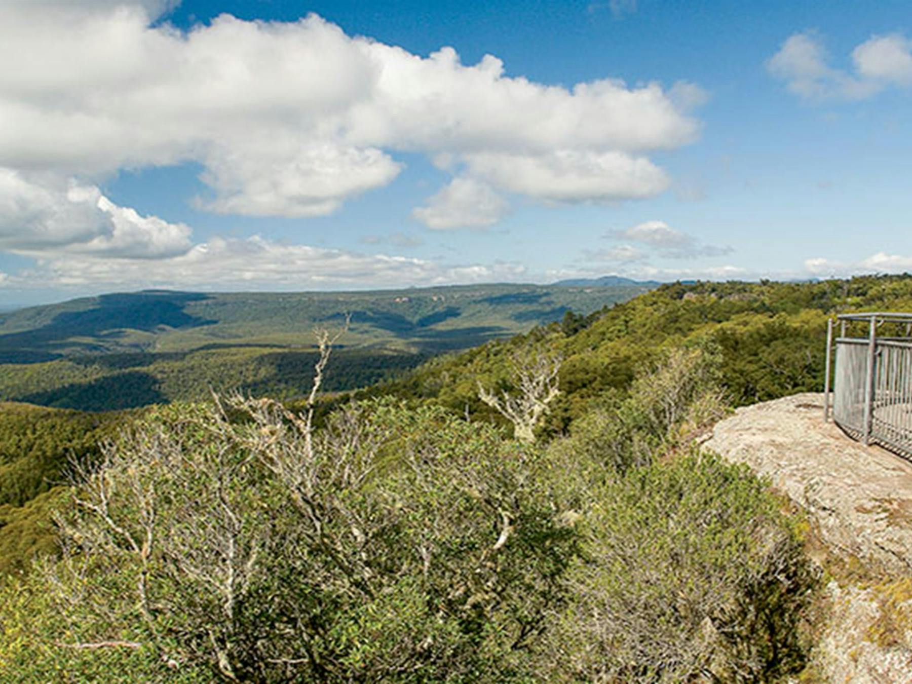 George Boyd lookout, Morton National Park. Photo: Michael Van Ewijk © OEH