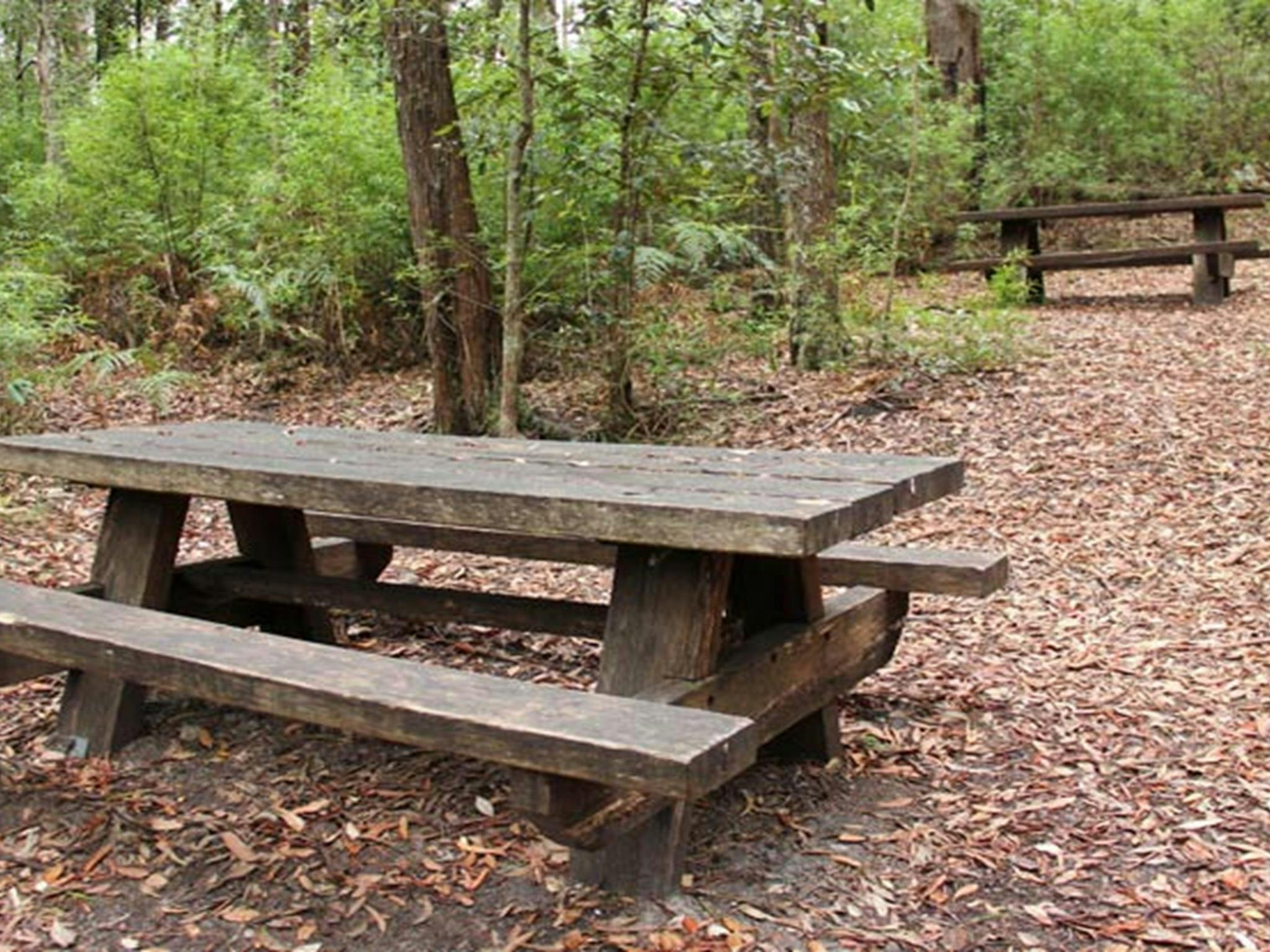 George Boyd picnic area, Morton National Park. Photo: John Yurasek &copy; OEH