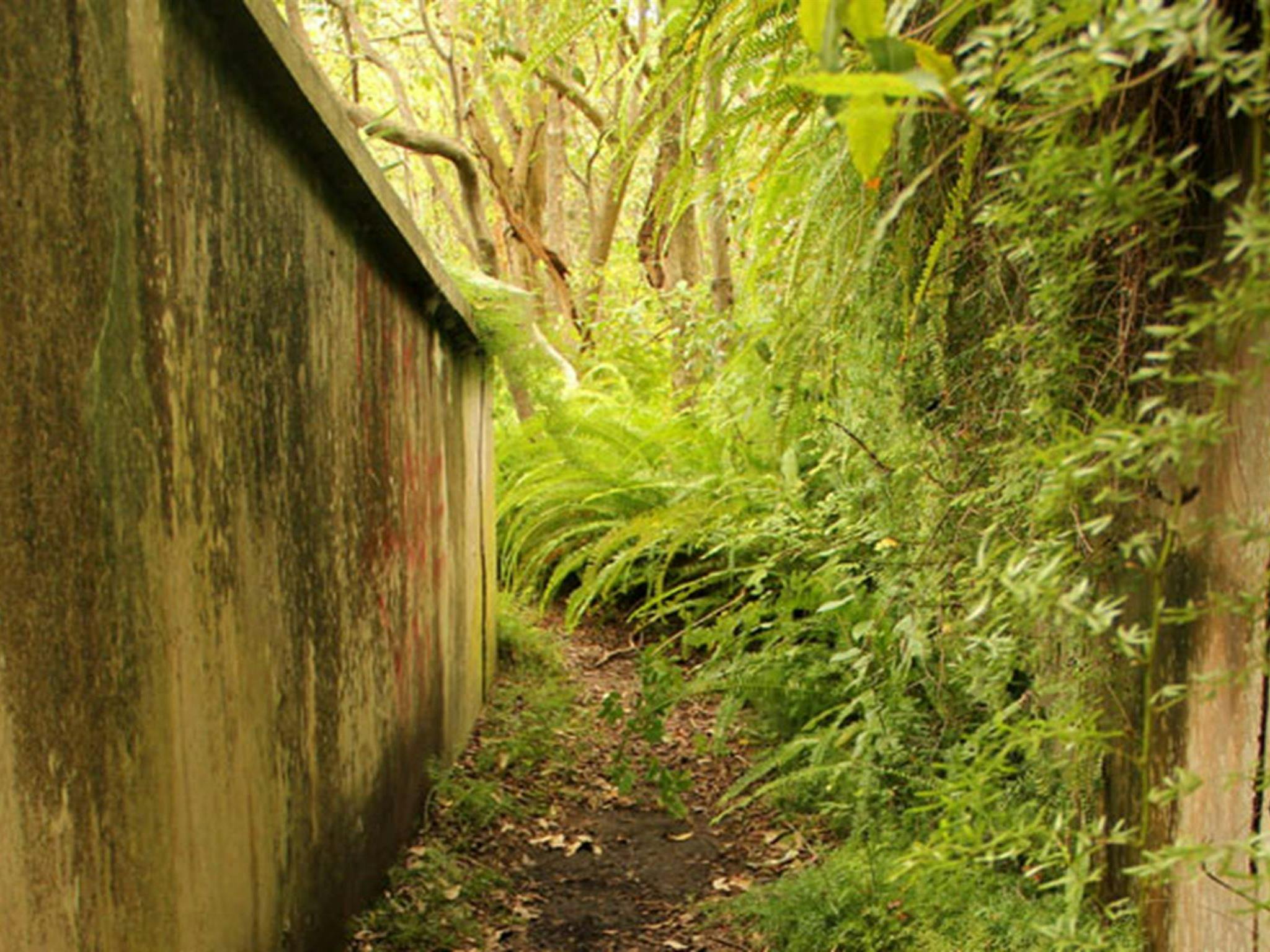 Stone walls at Georges Head military relics, Sydney Harbour National Park. Photo: John Yurasek,