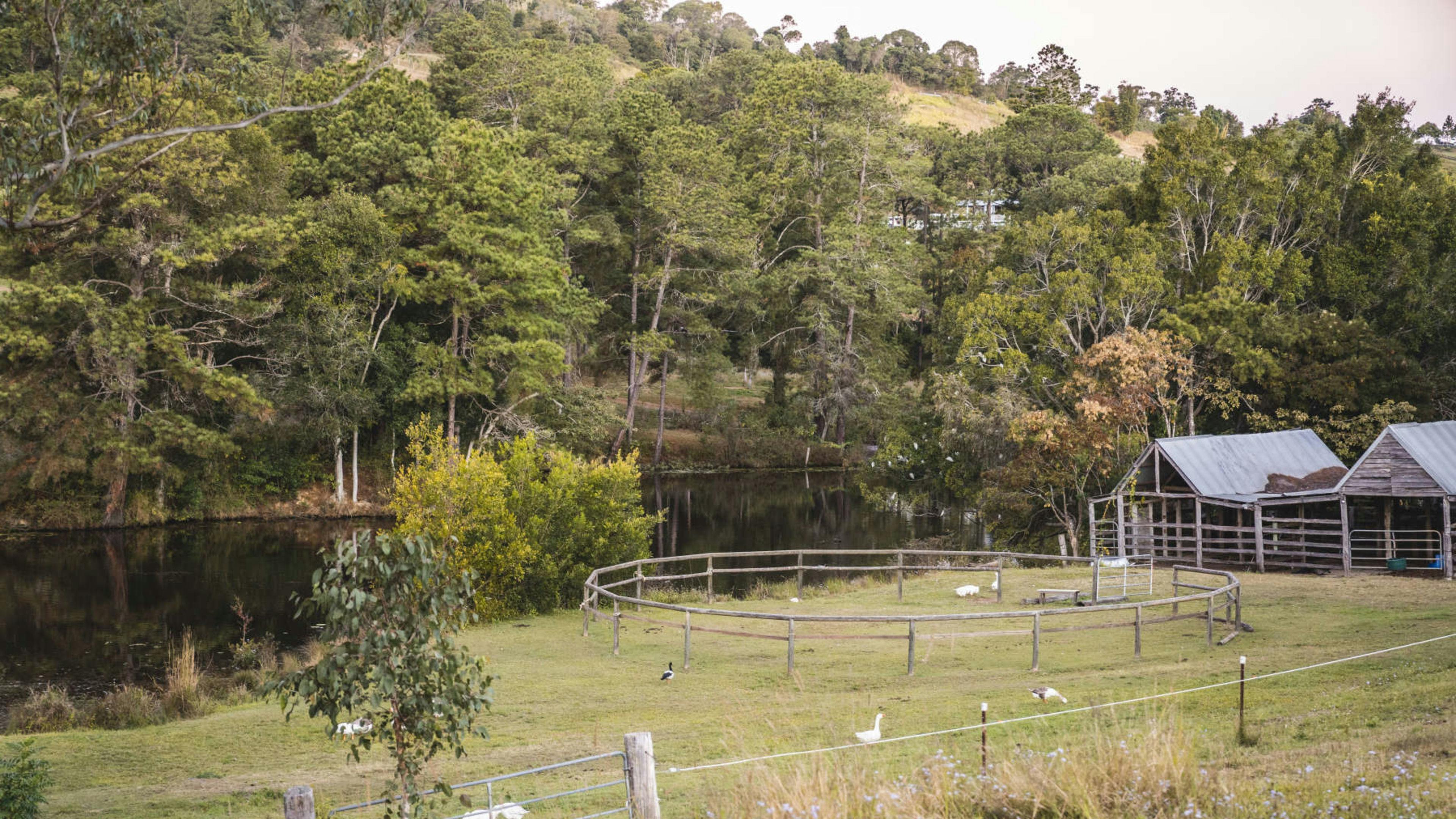 GG's Ranch & Retreat