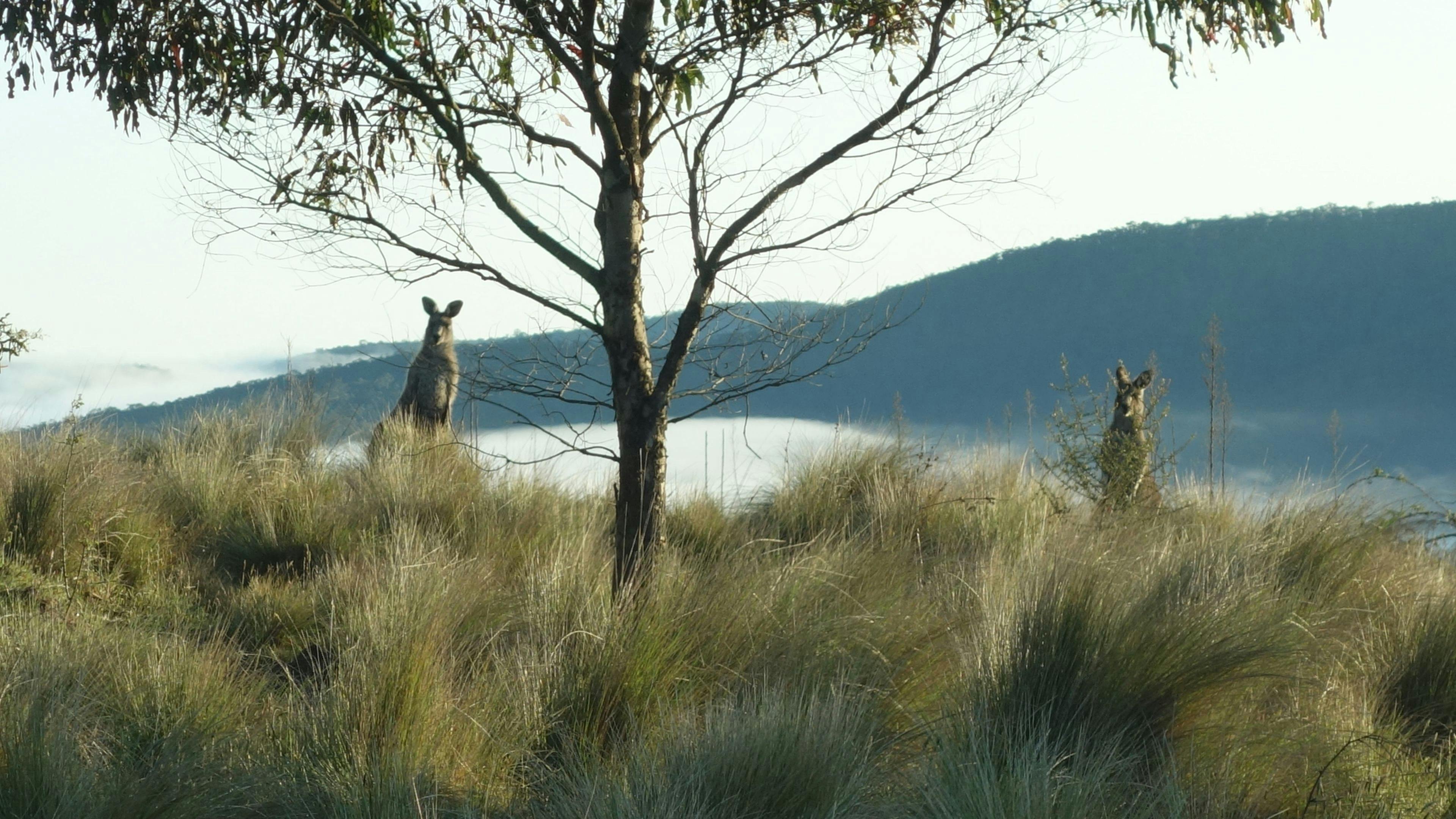 Trout Valley Retreat