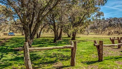 Ghost Gully campground, Kosciuszko National Park. Photo: Murray Vanderveer/DPIE
