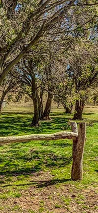 Ghost Gully campground, Kosciuszko National Park. Photo: Murray Vanderveer/DPIE