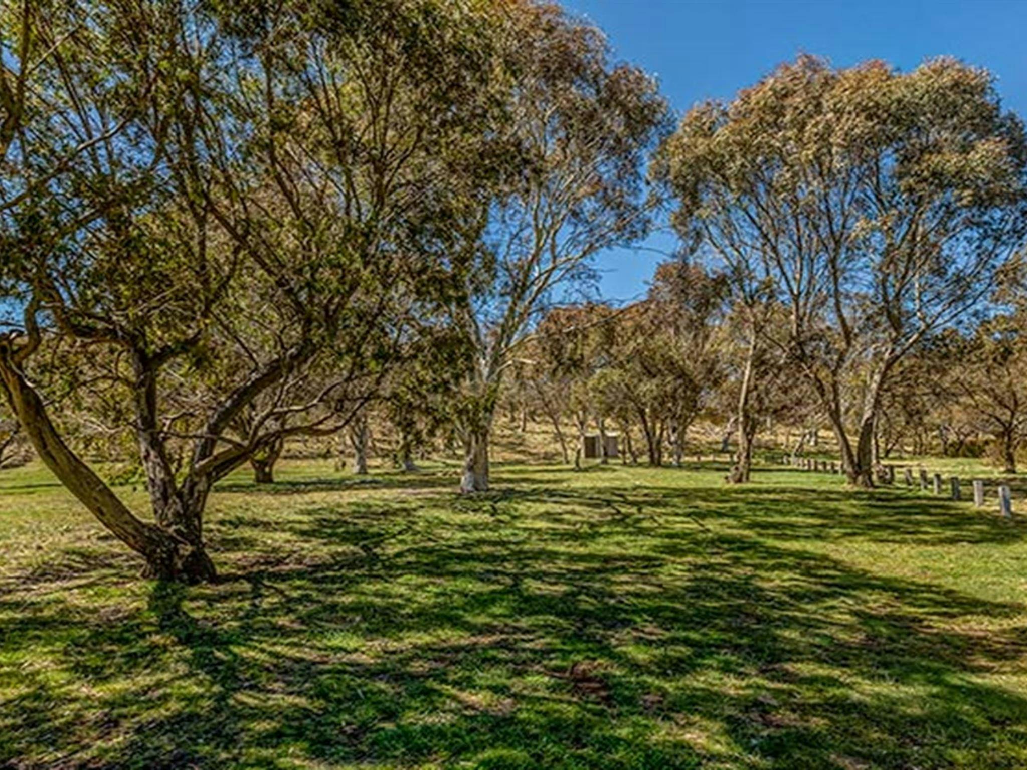 Ghost Gully campground, Kosciuszko National Park. Photo: Murray Vanderveer/DPIE