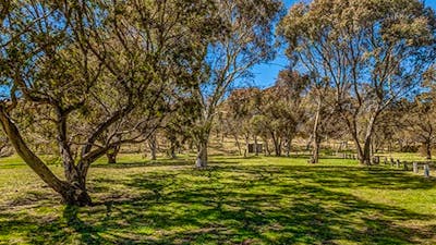 Ghost Gully campground, Kosciuszko National Park. Photo: Murray Vanderveer/DPIE