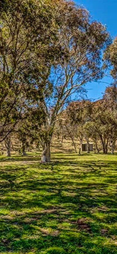 Ghost Gully campground, Kosciuszko National Park. Photo: Murray Vanderveer/DPIE