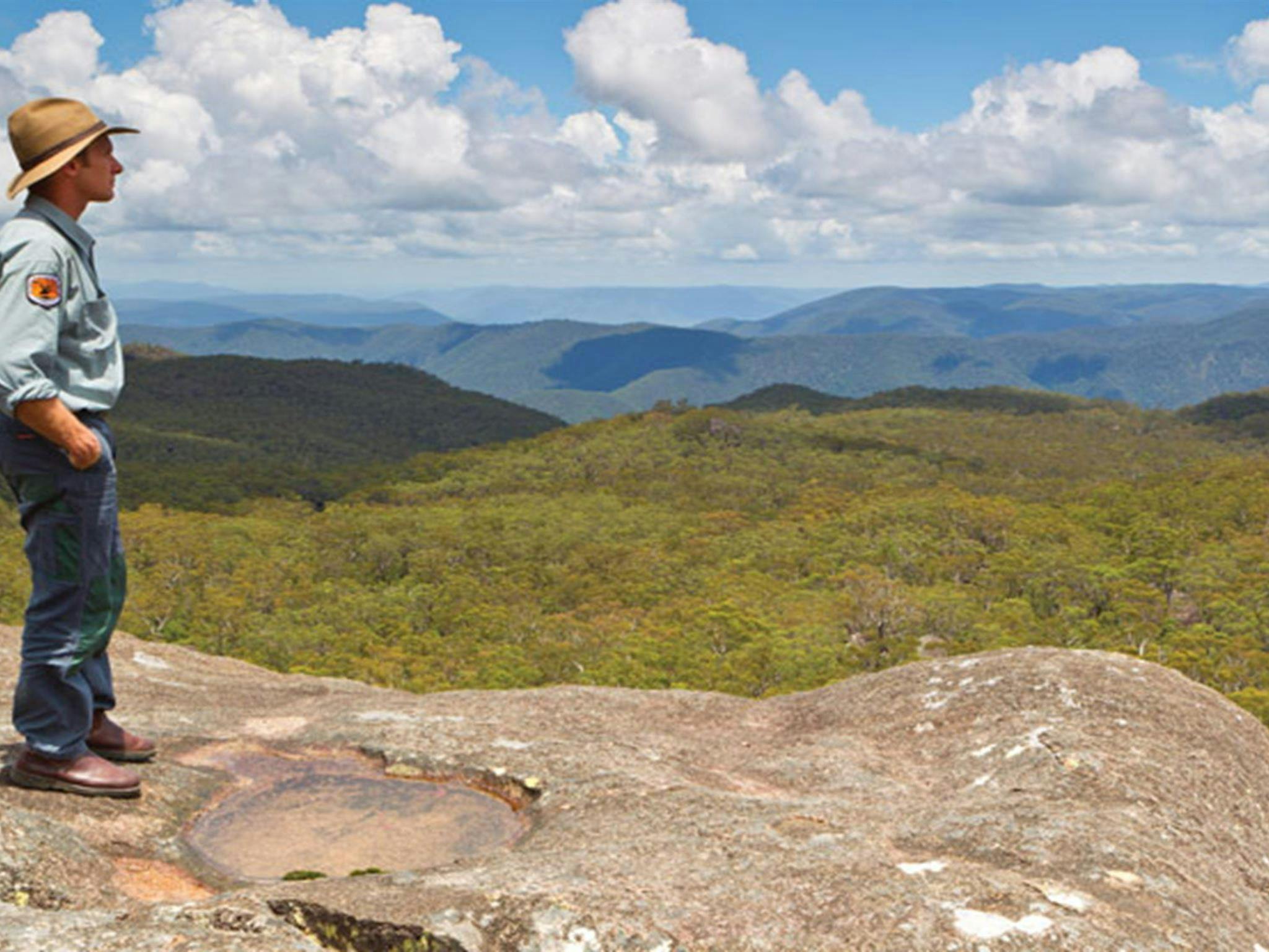 Dandahra Crags walking track, Gibraltar Range National Park. Photo: Robert Cleary &copy; DPIE