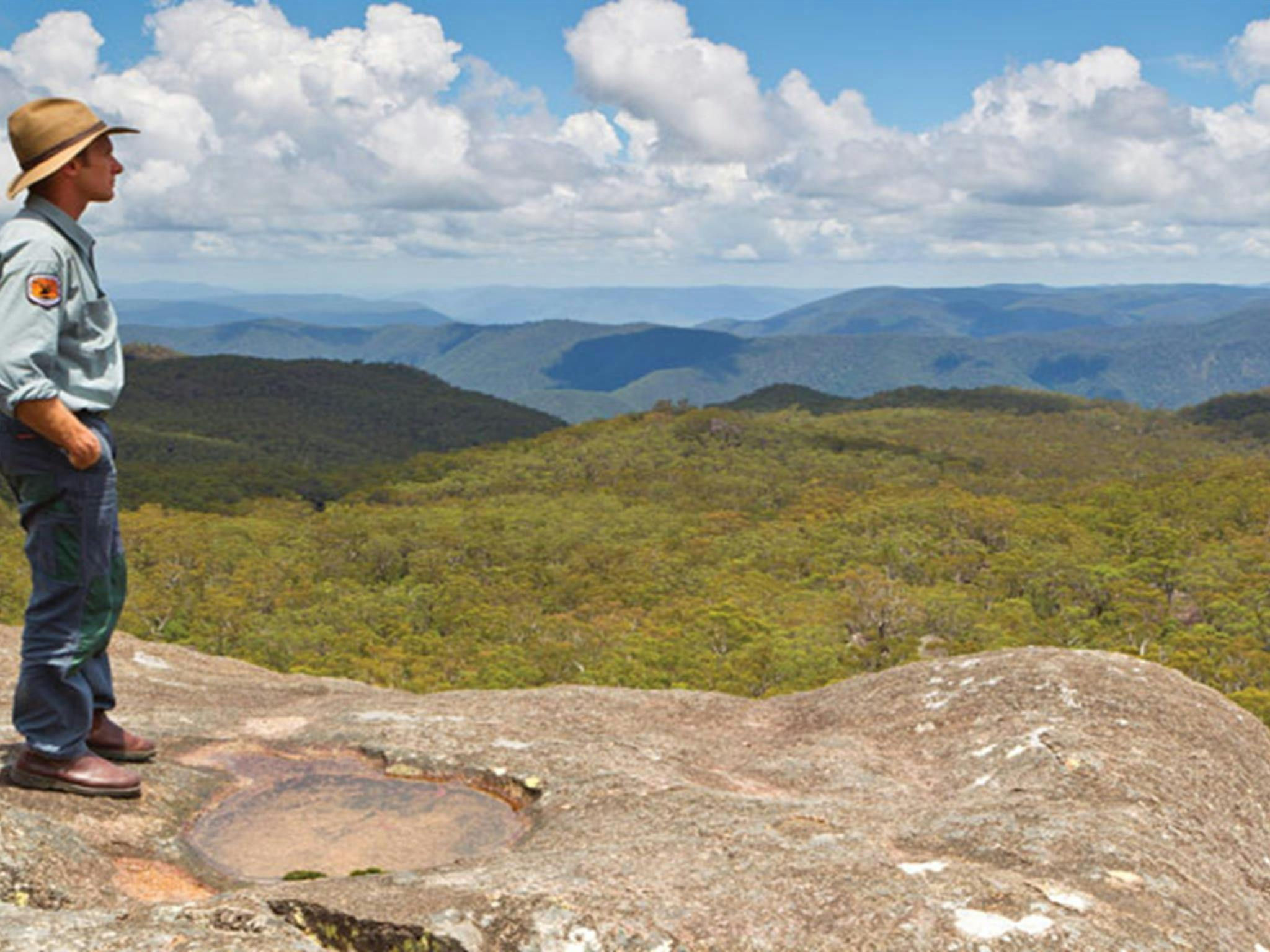 Dandahra Crags walking track, Gibraltar Range National Park. Photo: Robert Cleary &copy; DPIE