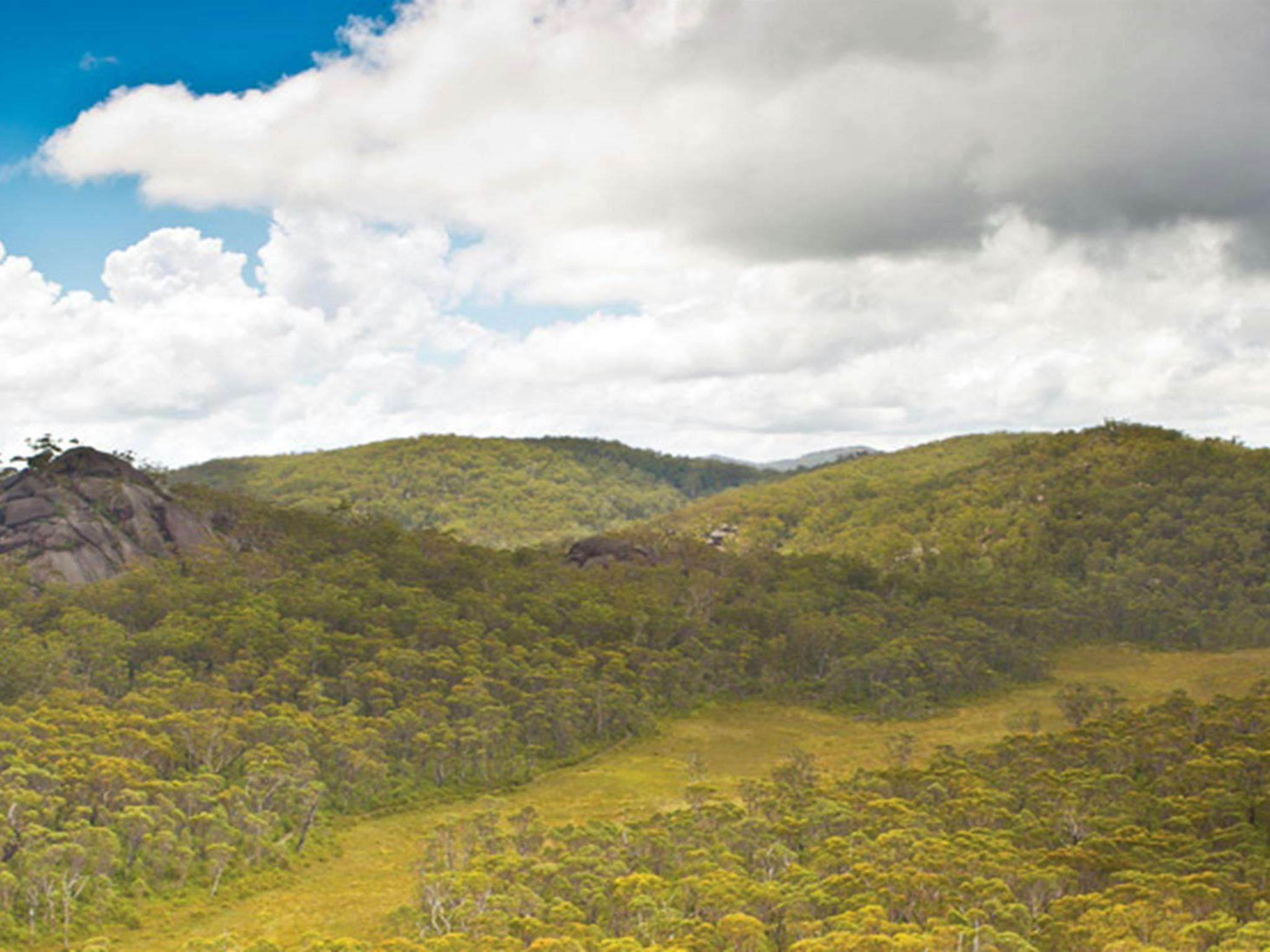 Dandahra Crags walking track, Gibraltar Range National Park. Photo: Robert Cleary &copy; DPIE