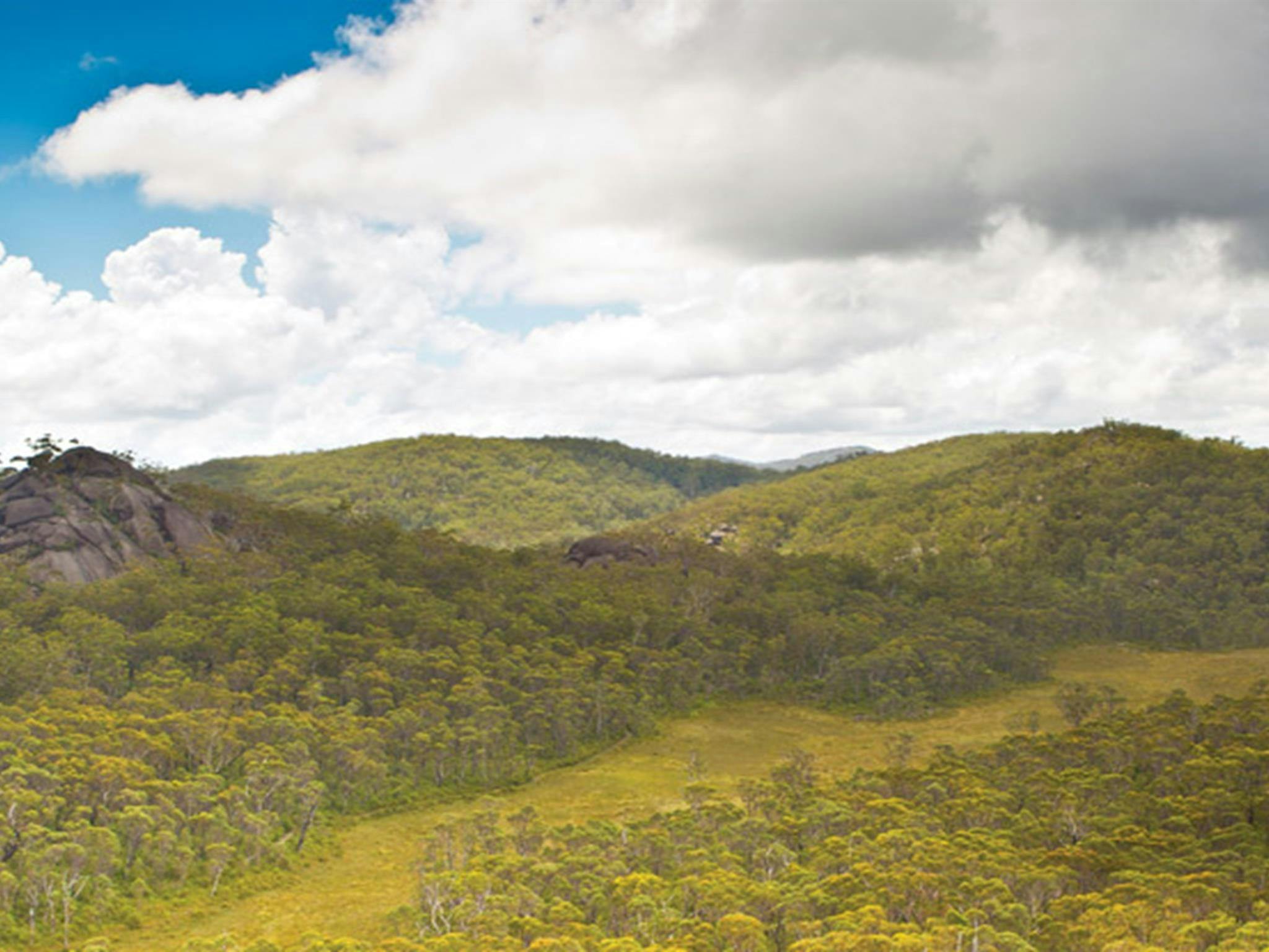Dandahra Crags walking track, Gibraltar Range National Park. Photo: Robert Cleary &copy; DPIE