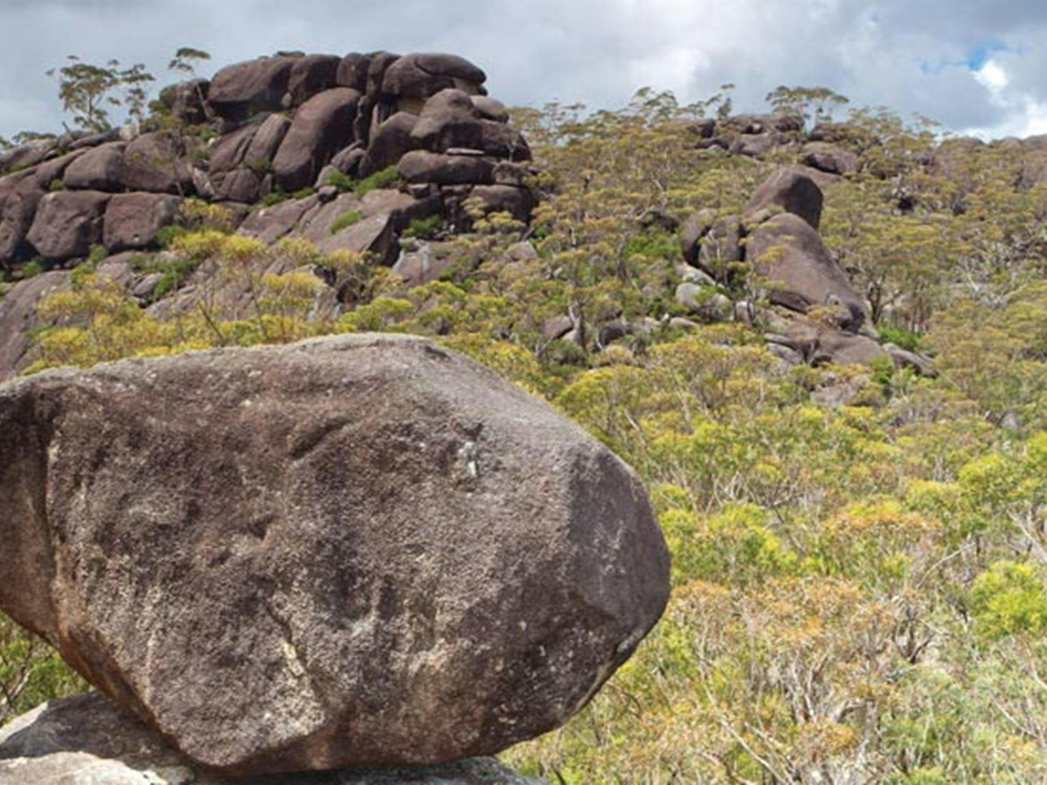 Dandahra Crags walking track, Gibraltar Range National Park. Photo: Robert Cleary &copy; DPIE