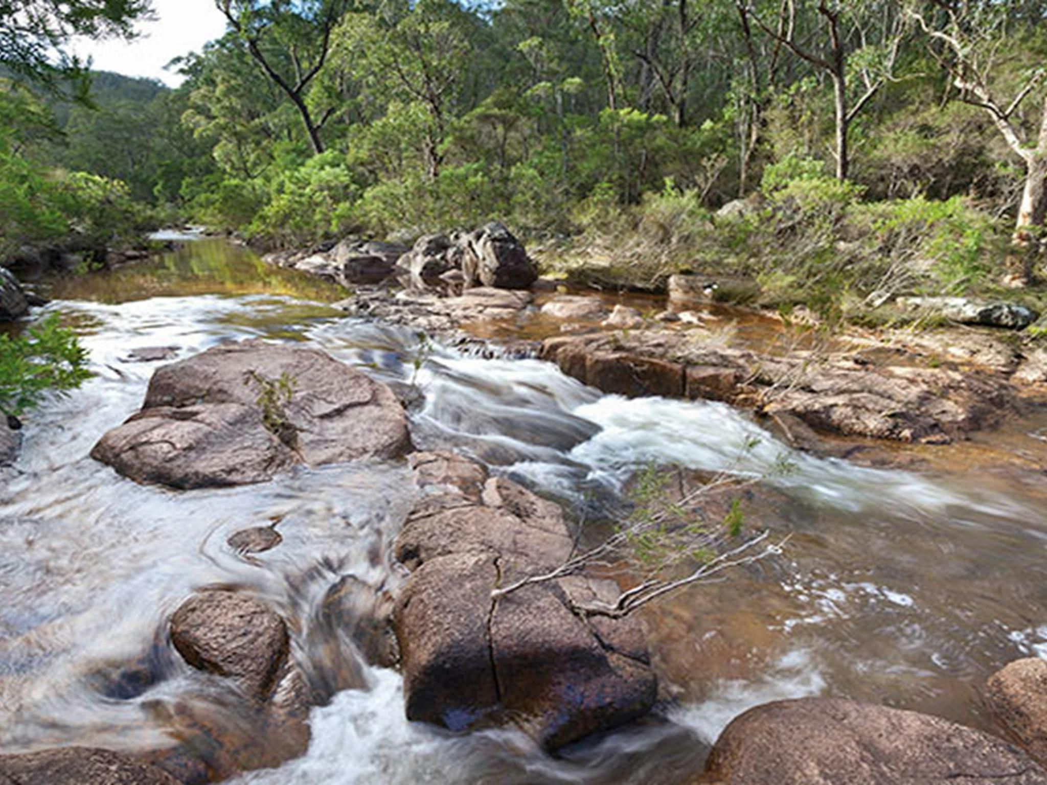 Little Dandahra Creek walking track, Gilbraltar Range National Park. Photo: Robert Cleary &copy;
