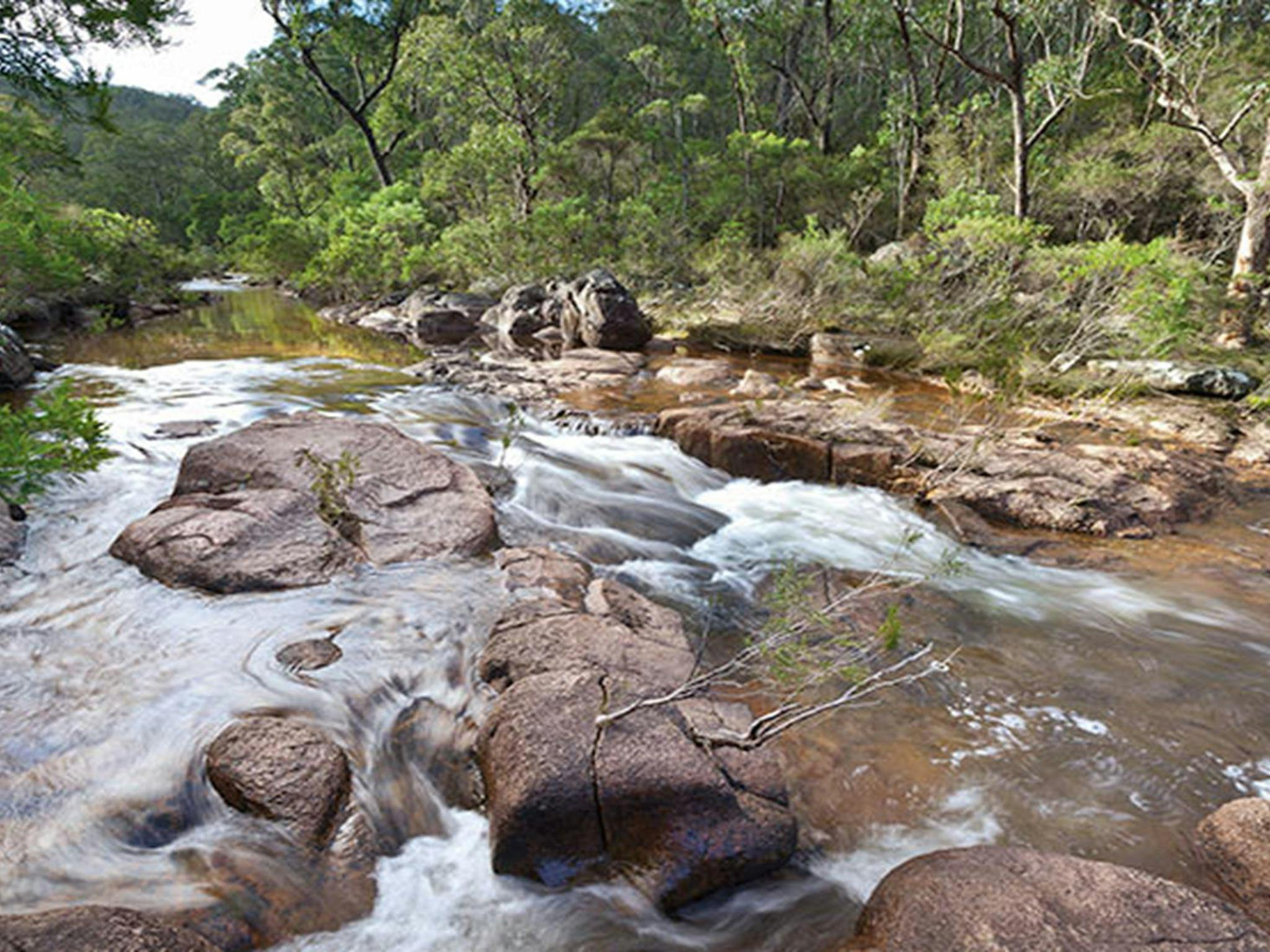 Little Dandahra Creek walking track, Gilbraltar Range National Park. Photo: Robert Cleary &copy;