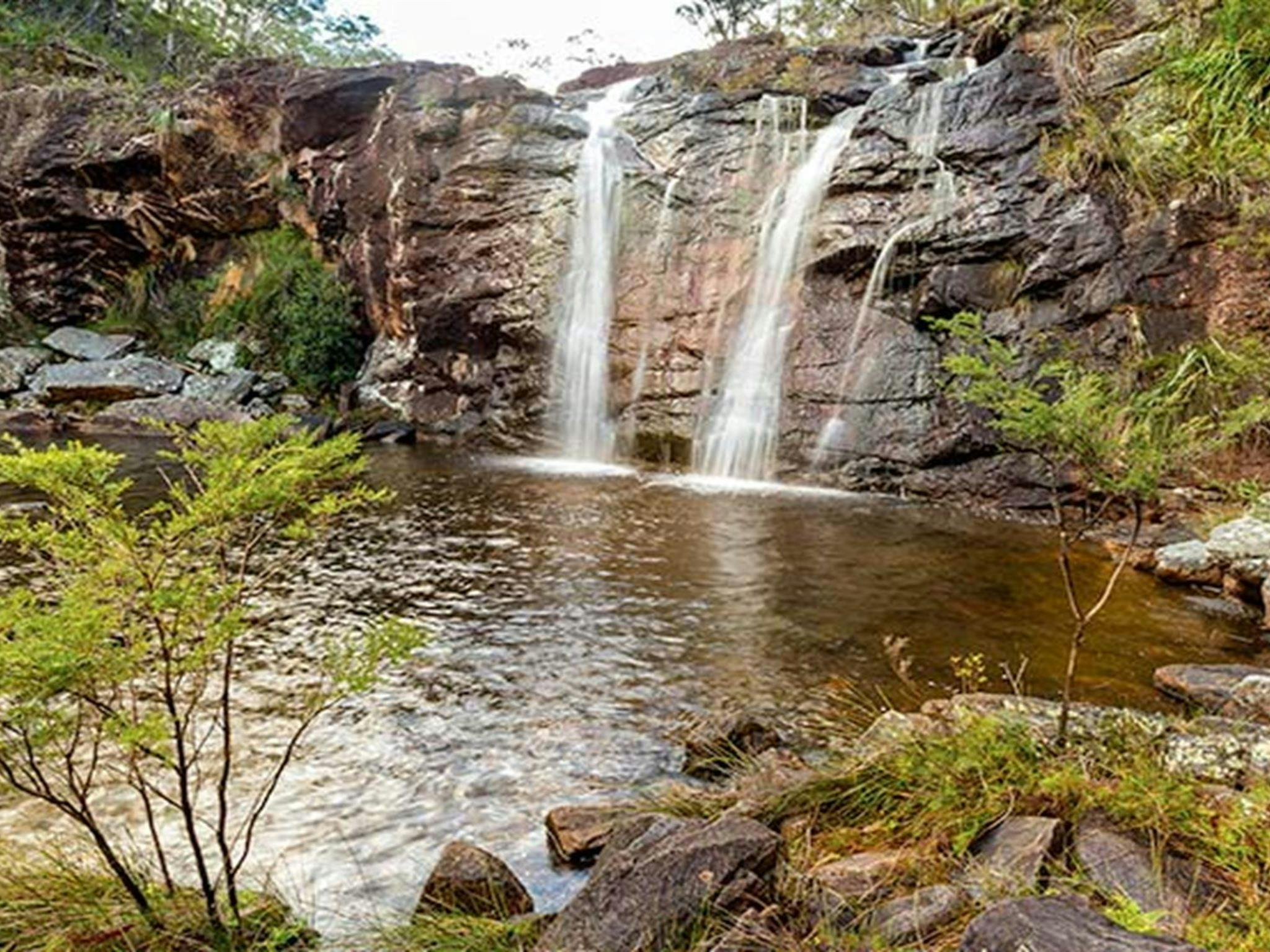 Duffer Creek walk, Gibraltar Range National Park. Photo: Robert Cleary &copy; DPIE