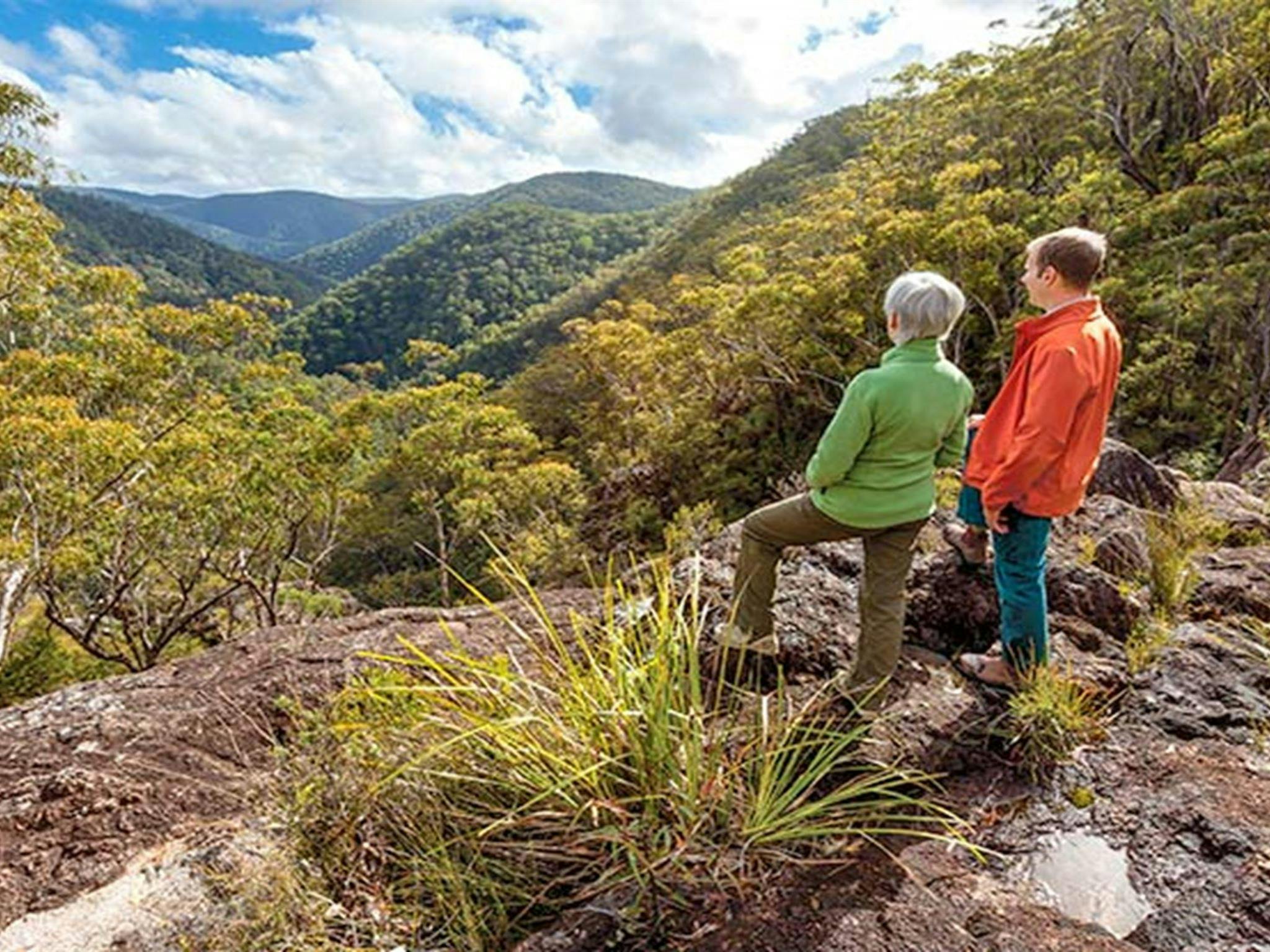 Duffer Creek walk, Gibraltar Range National Park. Photo: Robert Cleary &copy; DPIE