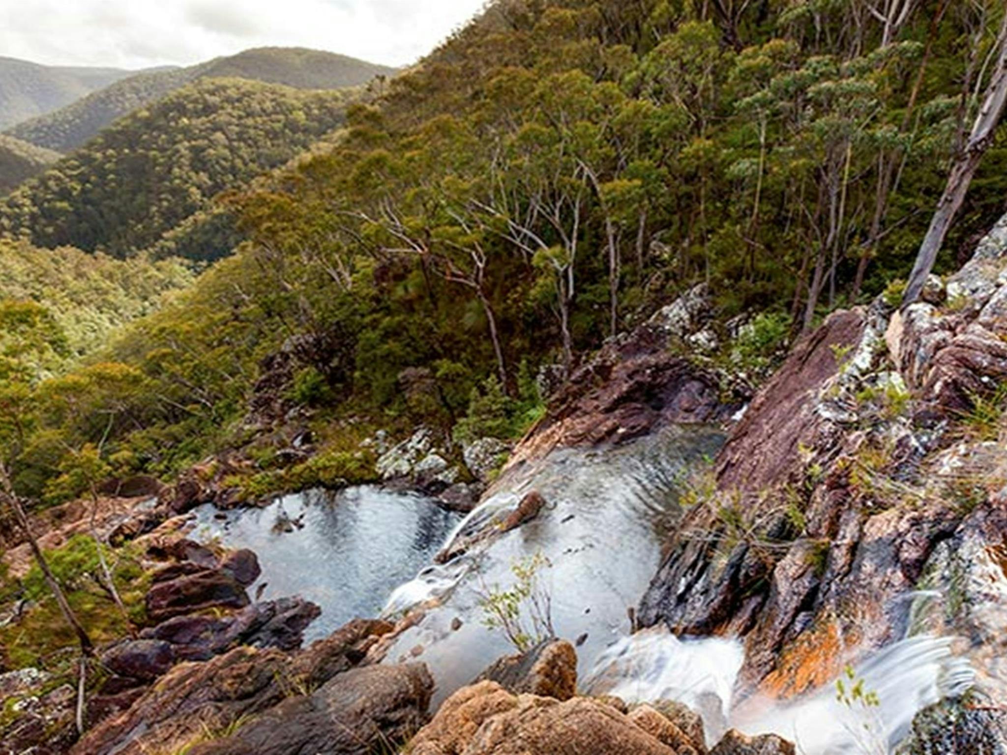 Duffer Creek walk, Gibraltar Range National Park. Photo: Robert Cleary &copy; DPIE