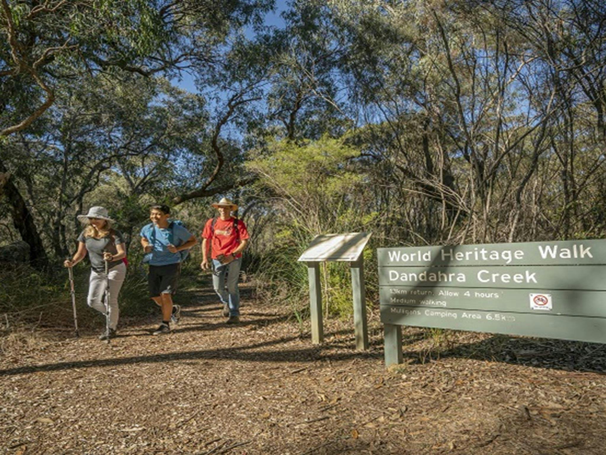 Group of hikers taking on the Gibralter-Washpool World Heritage walk. Photo: John Spencer/OEH