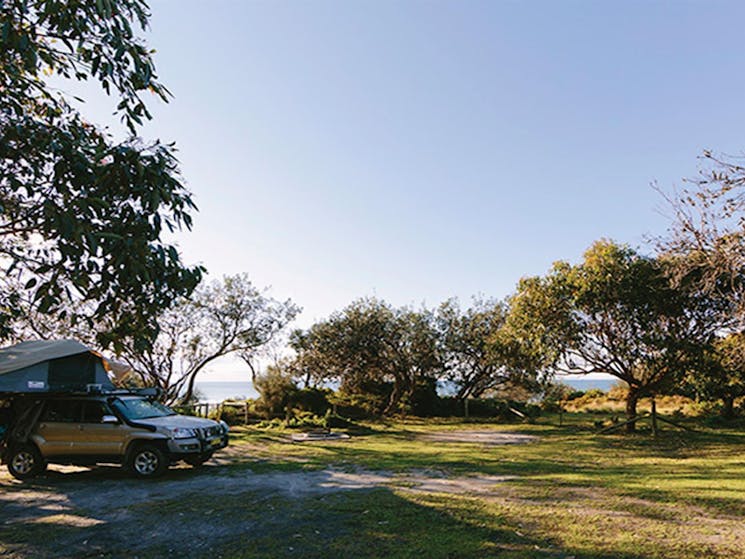 A car with roof top tent parked under a tree at Gillards campground, Mimosa Rocks National Park.