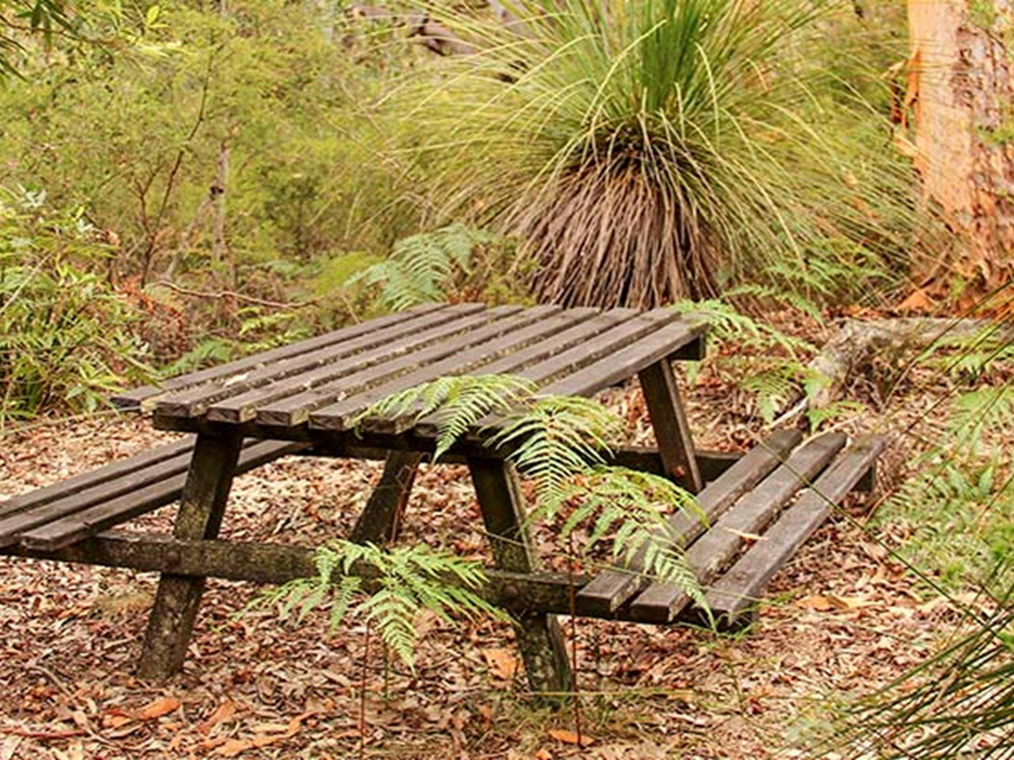 Girrakool picnic area, Brisbane Water National Park. Photo: John Yurasek &copy; OEH