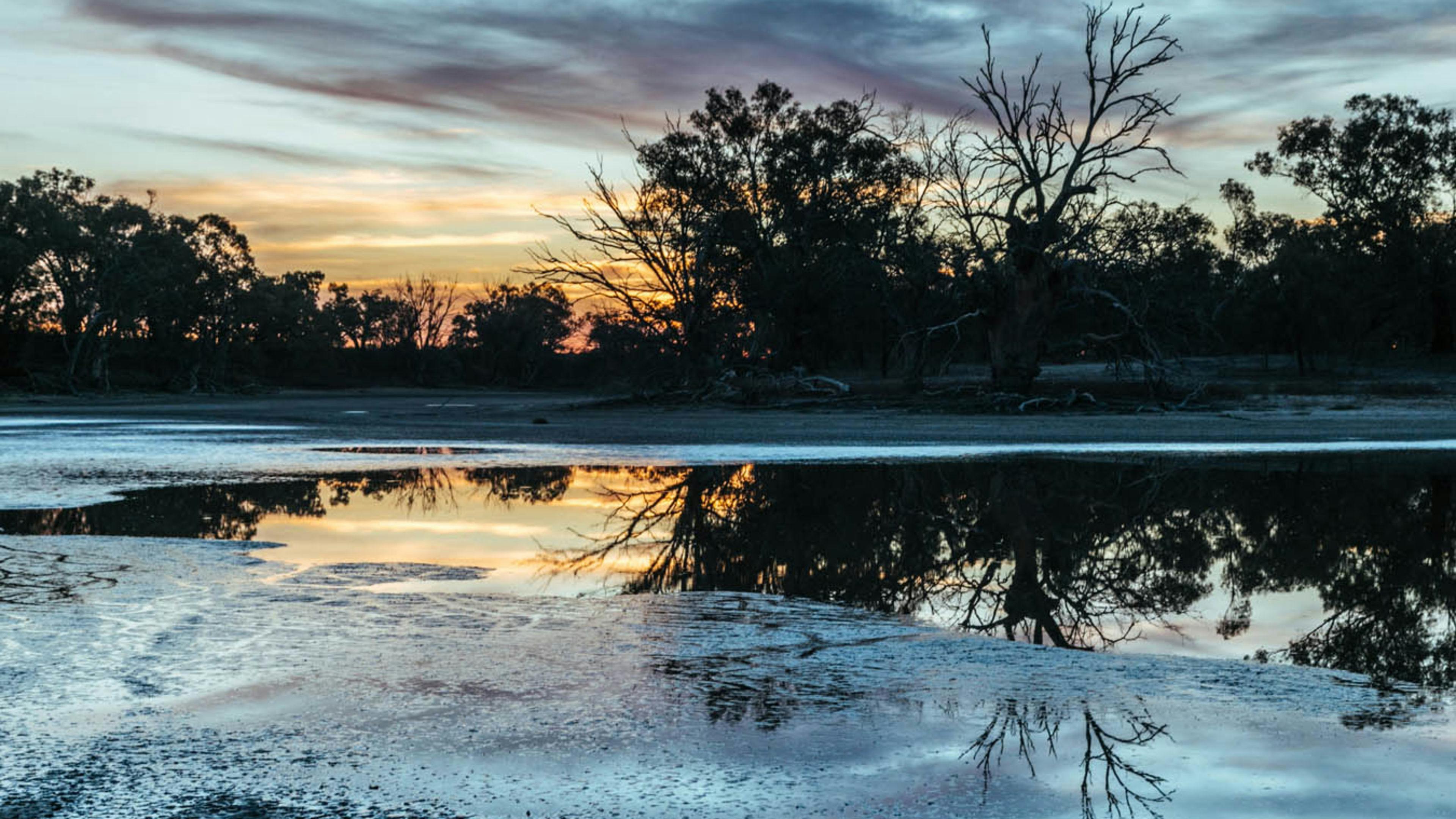 Warrawong On The Darling