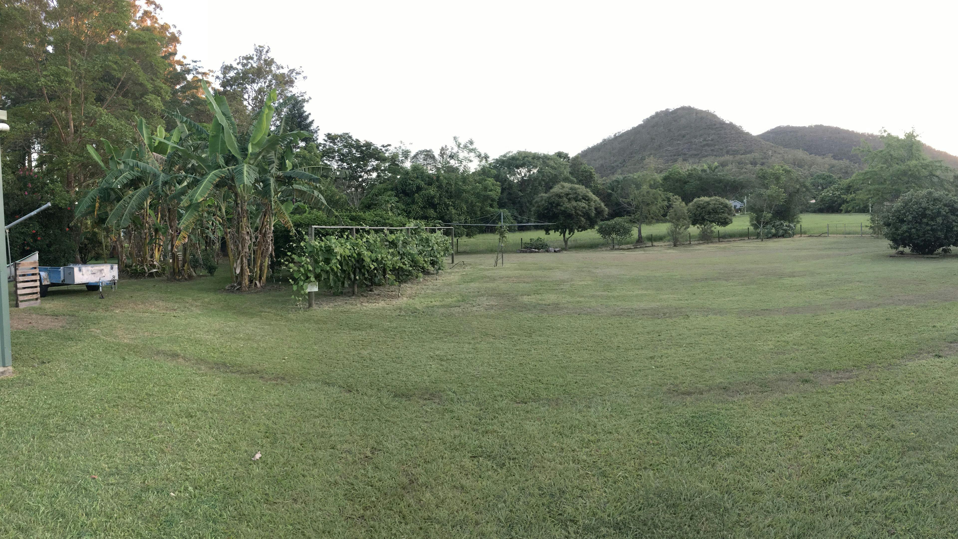 Glasshouse Mountain Views