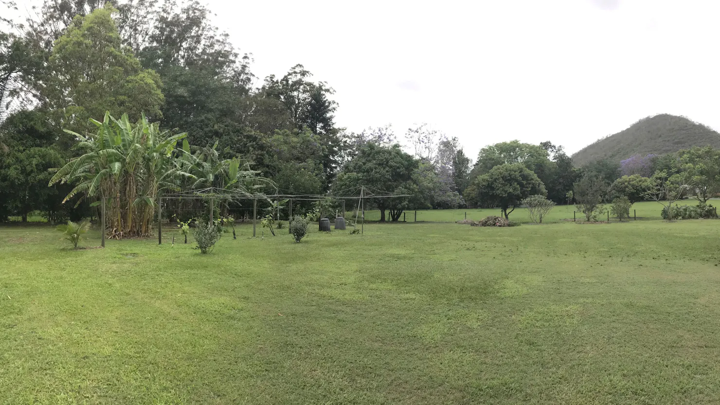 Panorama (1) of Orchard and Camp Area