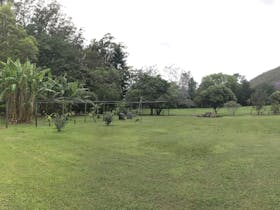 Panorama (1) of Orchard and Camp Area