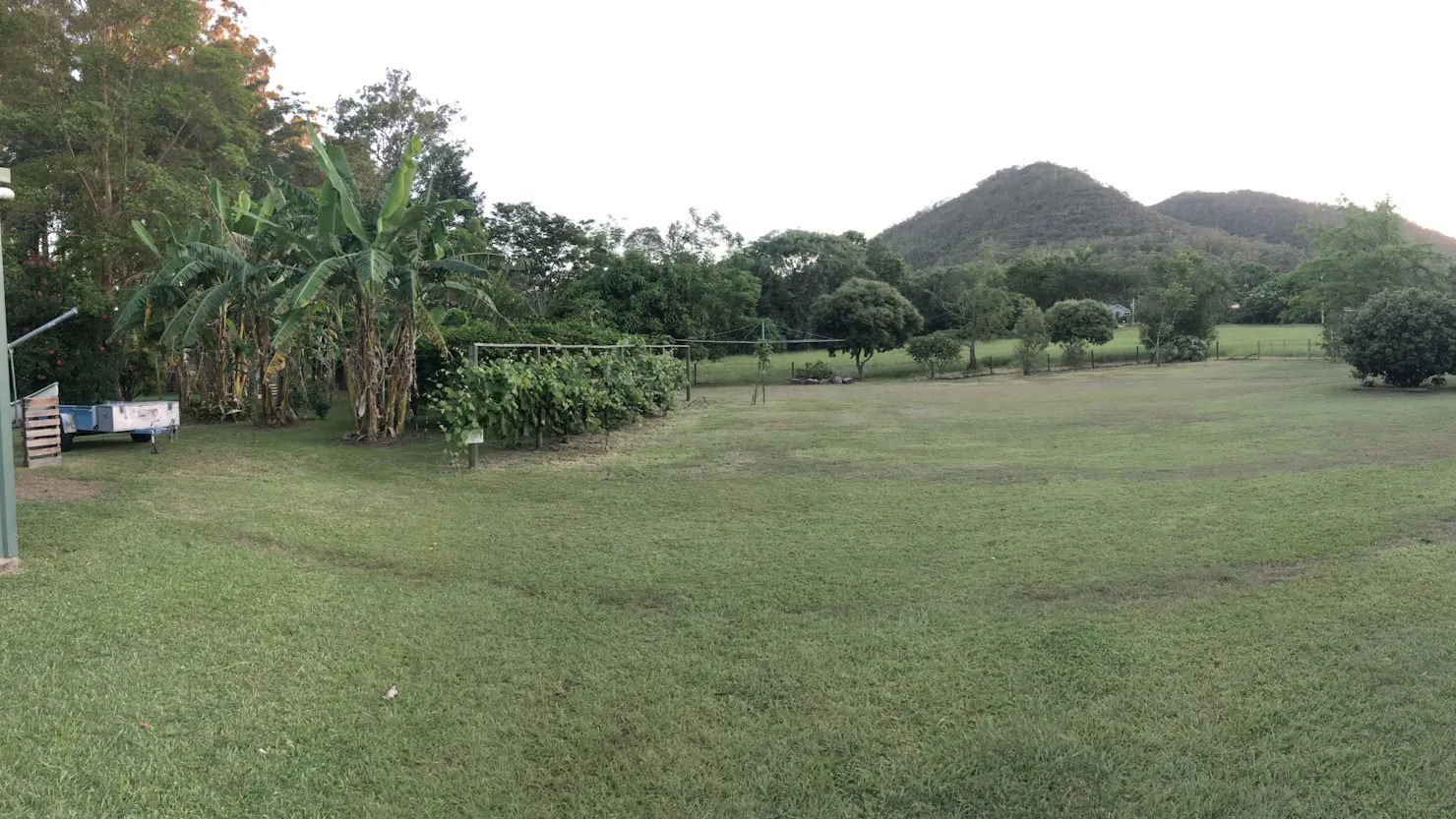 Panorama (2) of Orchard and Camp Area