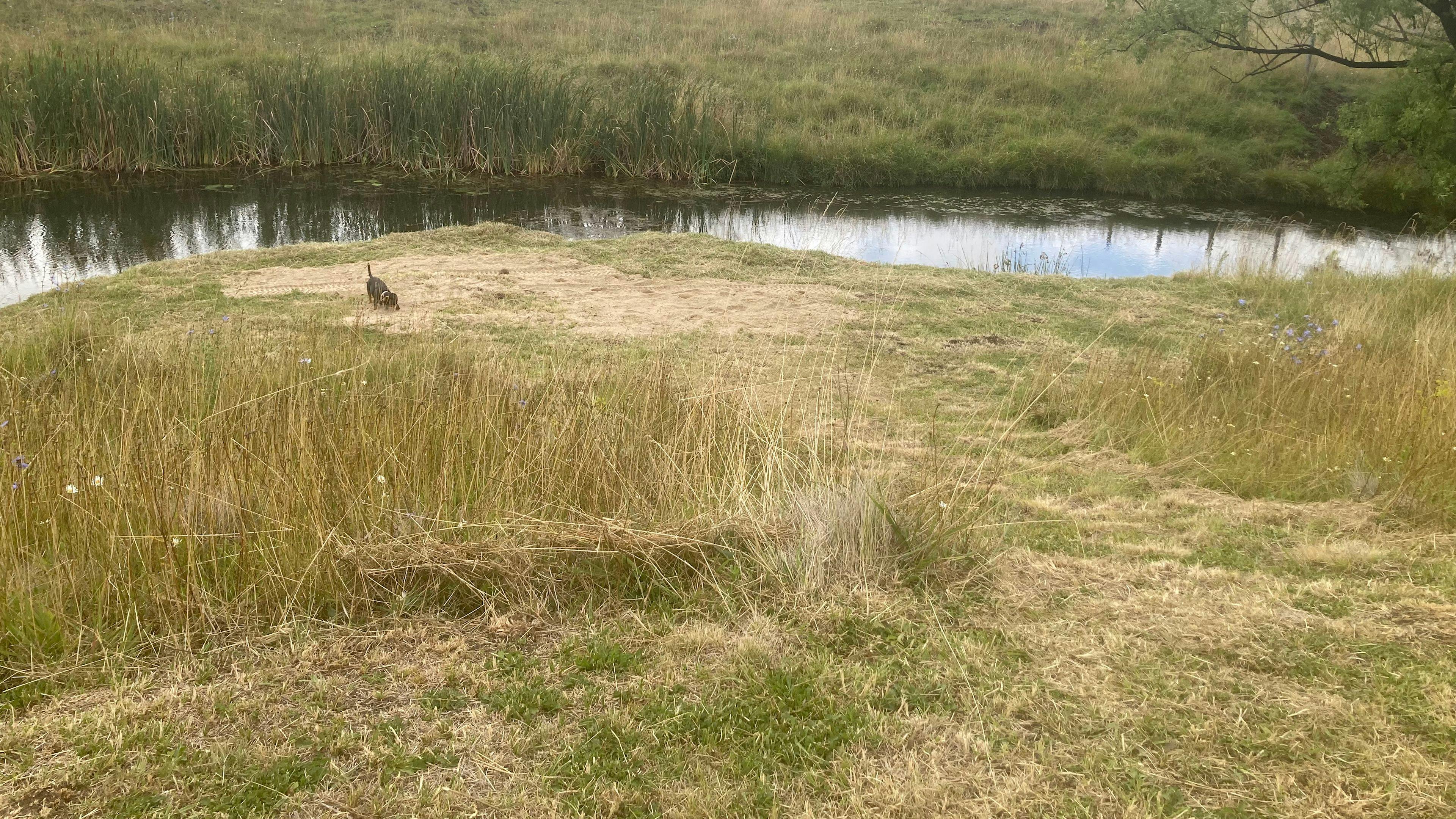 Glen Innes - "Furracabad Creek"