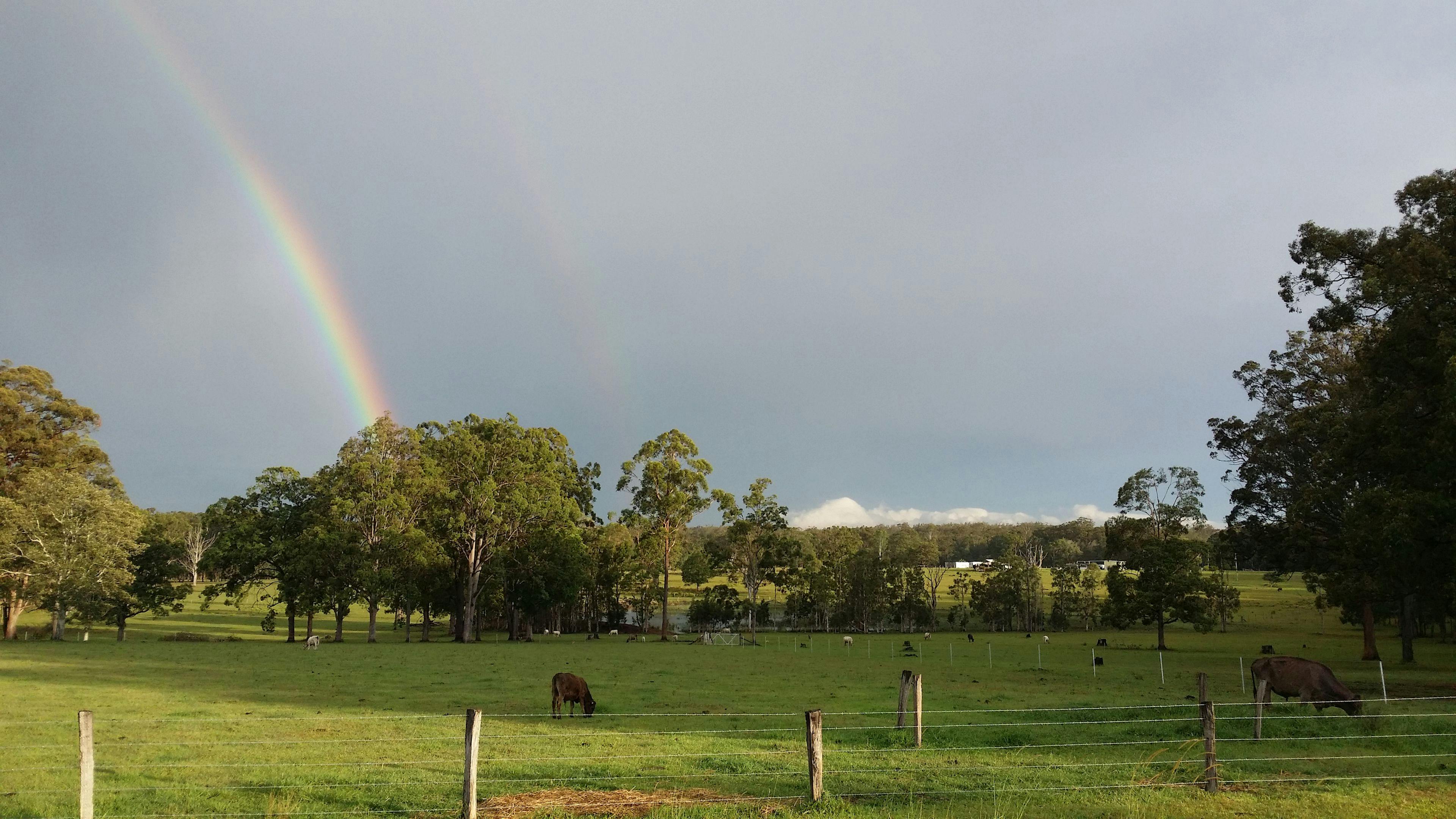 Glencliffe Lea