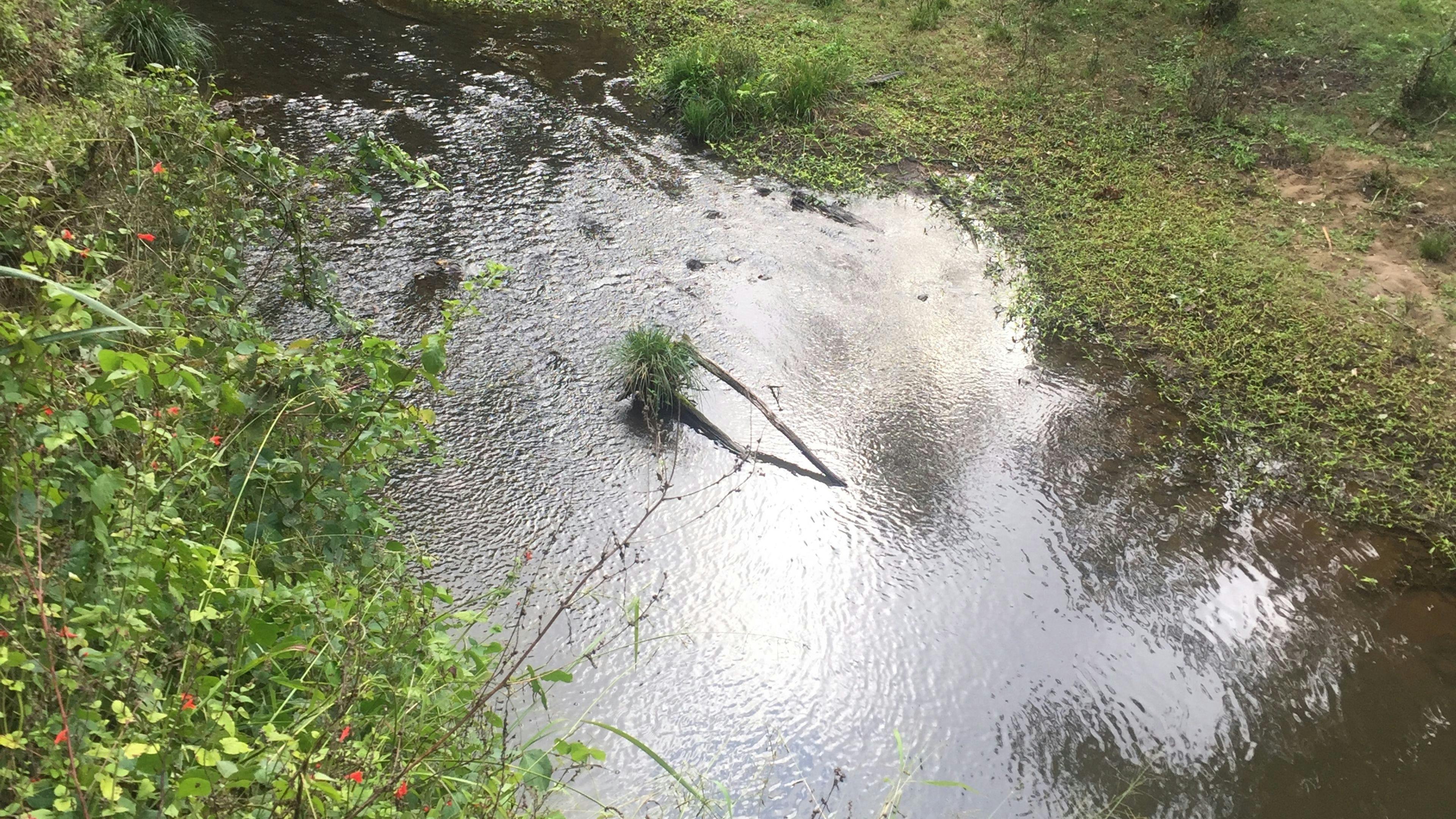 Iron Pot Creek 