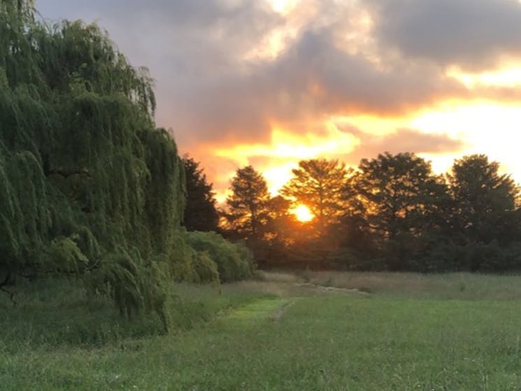 Willows dam at sunset