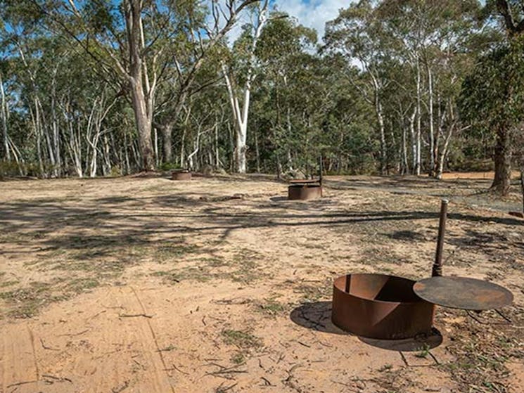 Metal fire rings surrounded by bushland at Glendora campground in Hill End Historic Site. Photo: