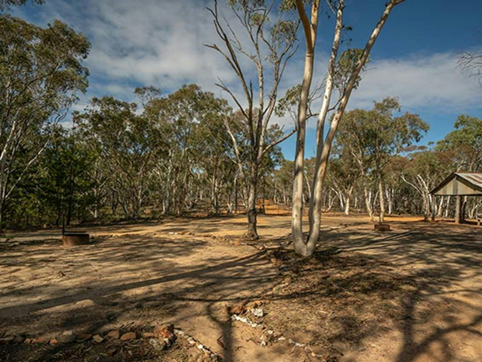 Unpowered campsites with fire rings at Glendora campground within Hill End Historic Site, with a