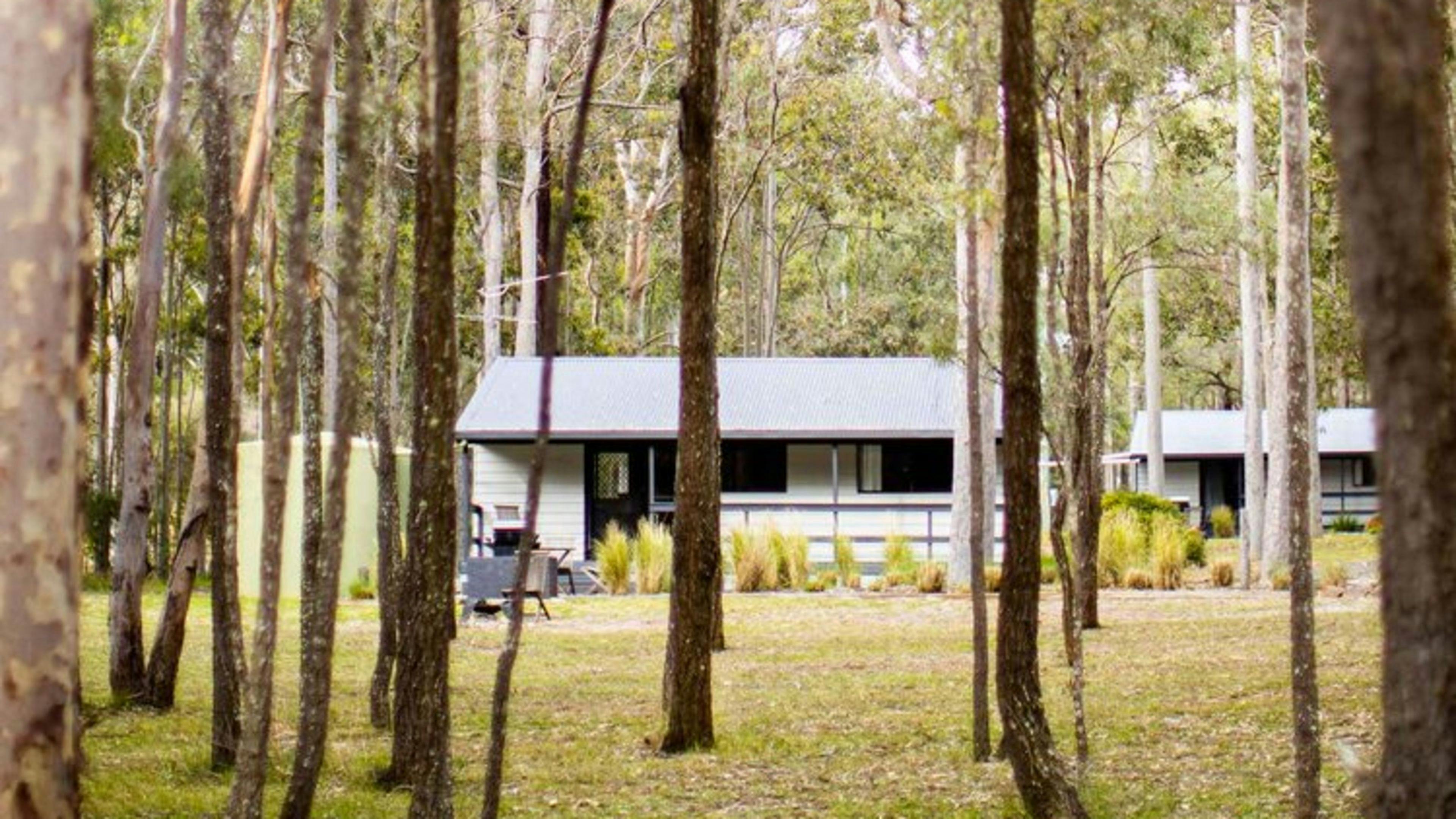 ワイルドウッズ