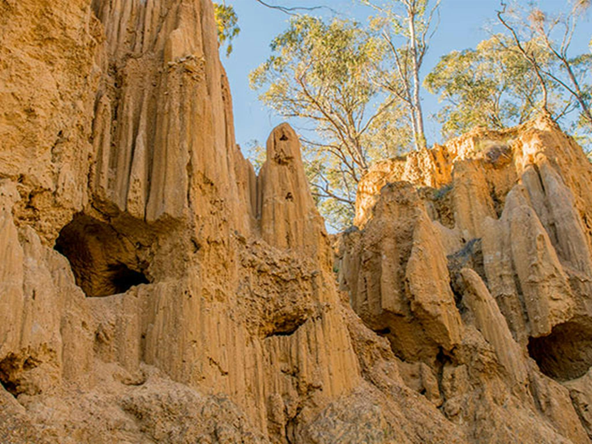 Wanderweg Golden Gully, historische Stätte Hill End. Foto: John Spencer © OEH