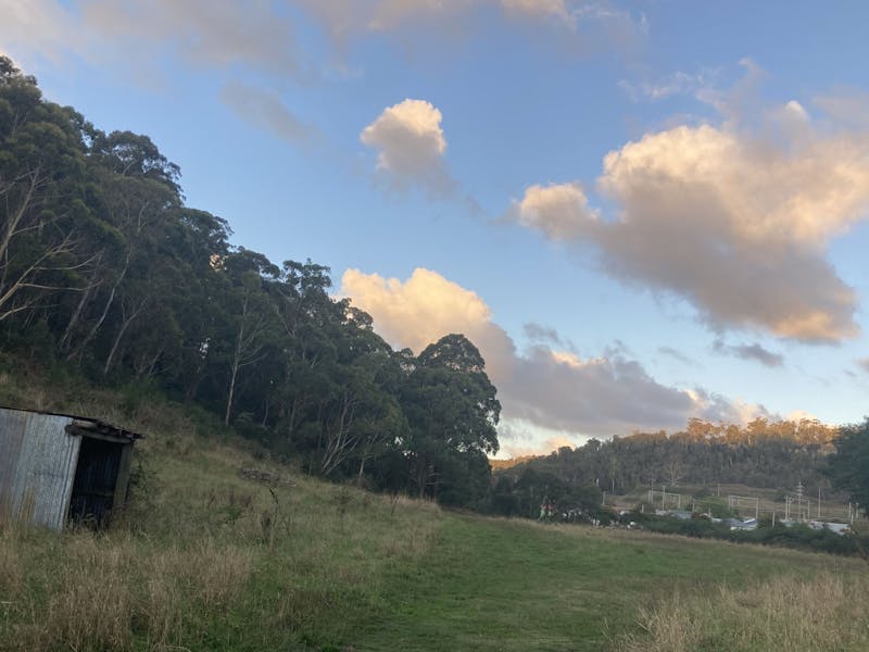 Good Paddock