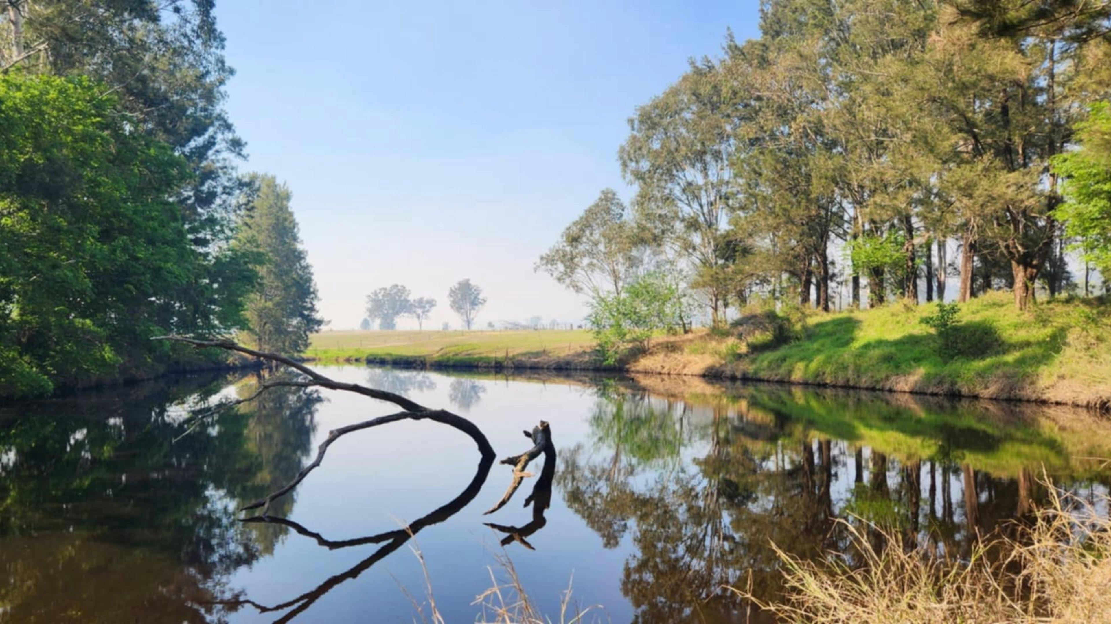 Camp By The Billabong