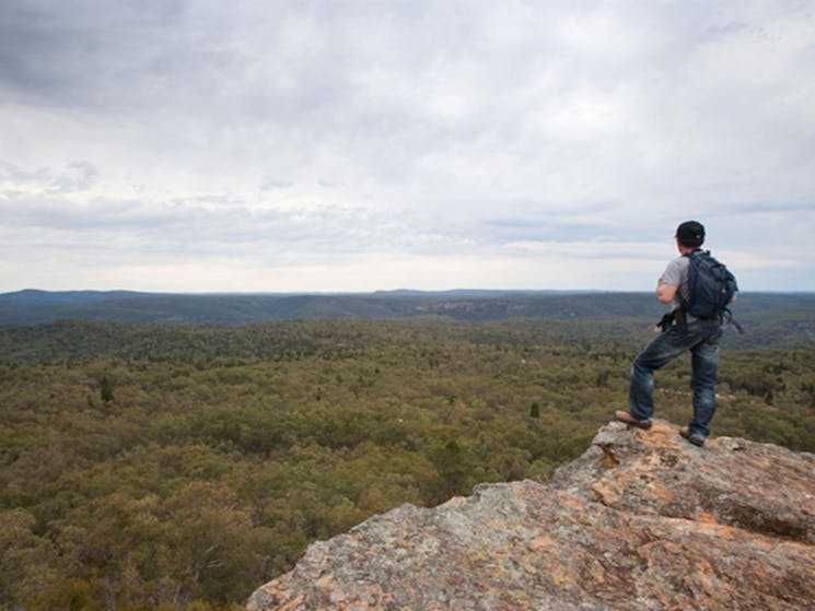 Lees Pinch lookout walking track, Goulburn River National Park. Photo: Nick Cubbin/NSW Government