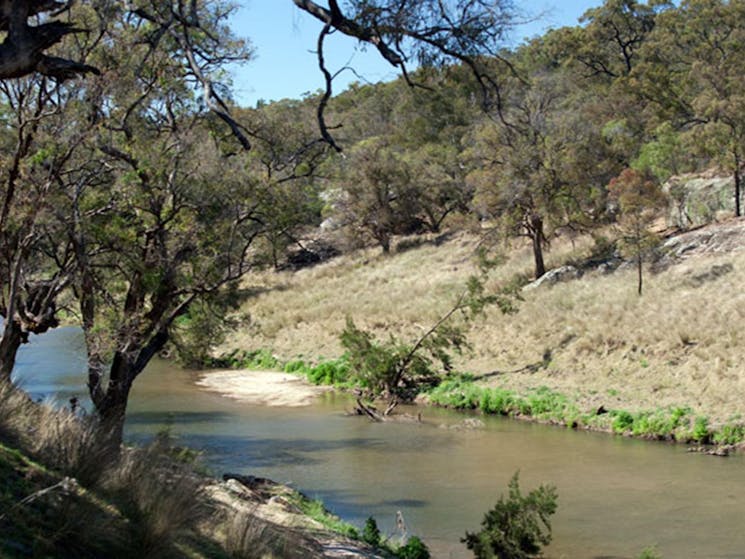 Spring Gully campground, Goulburn River National Park. Photo: Nick Cubbin/NSW Government