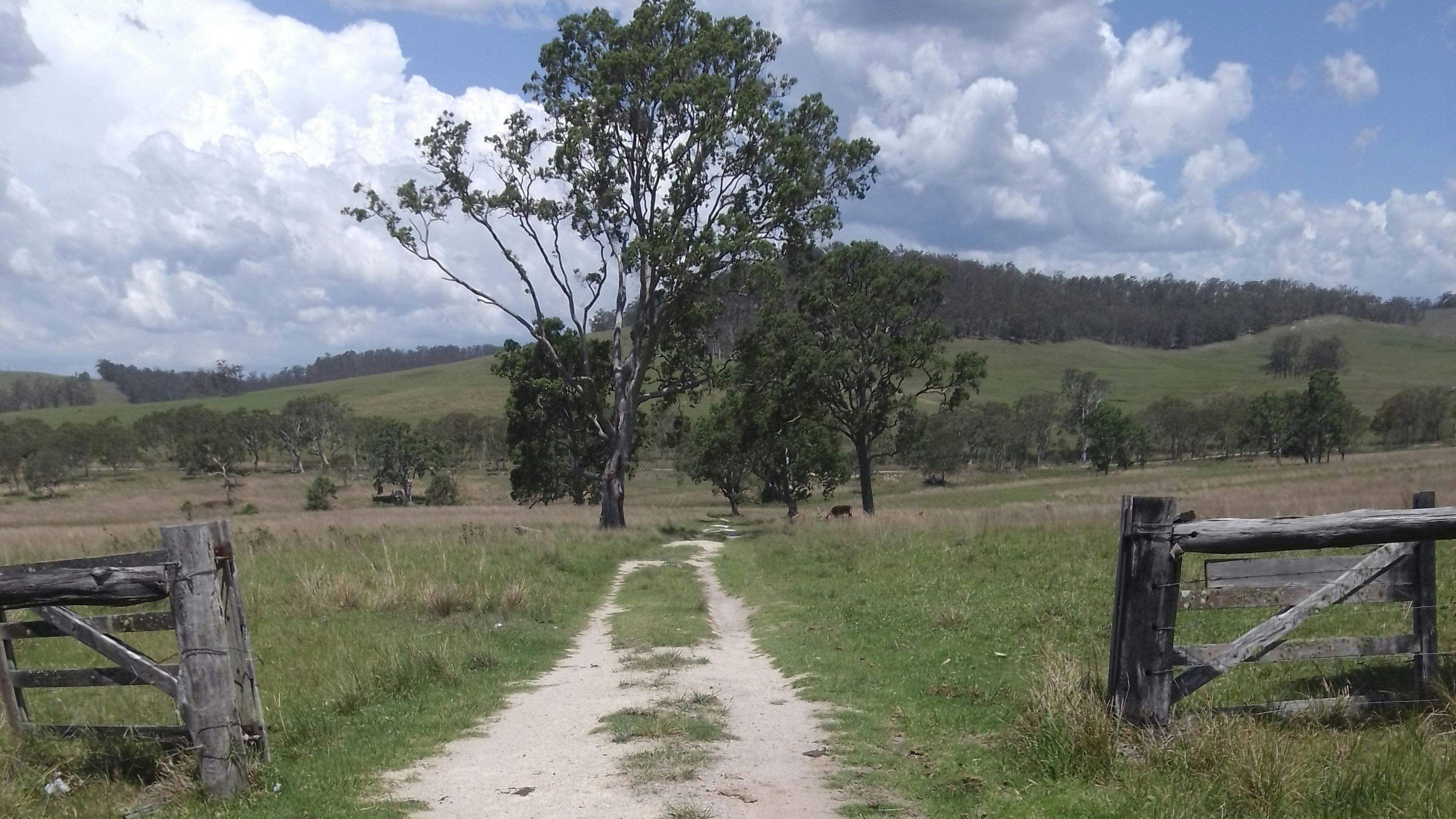 Bungoona