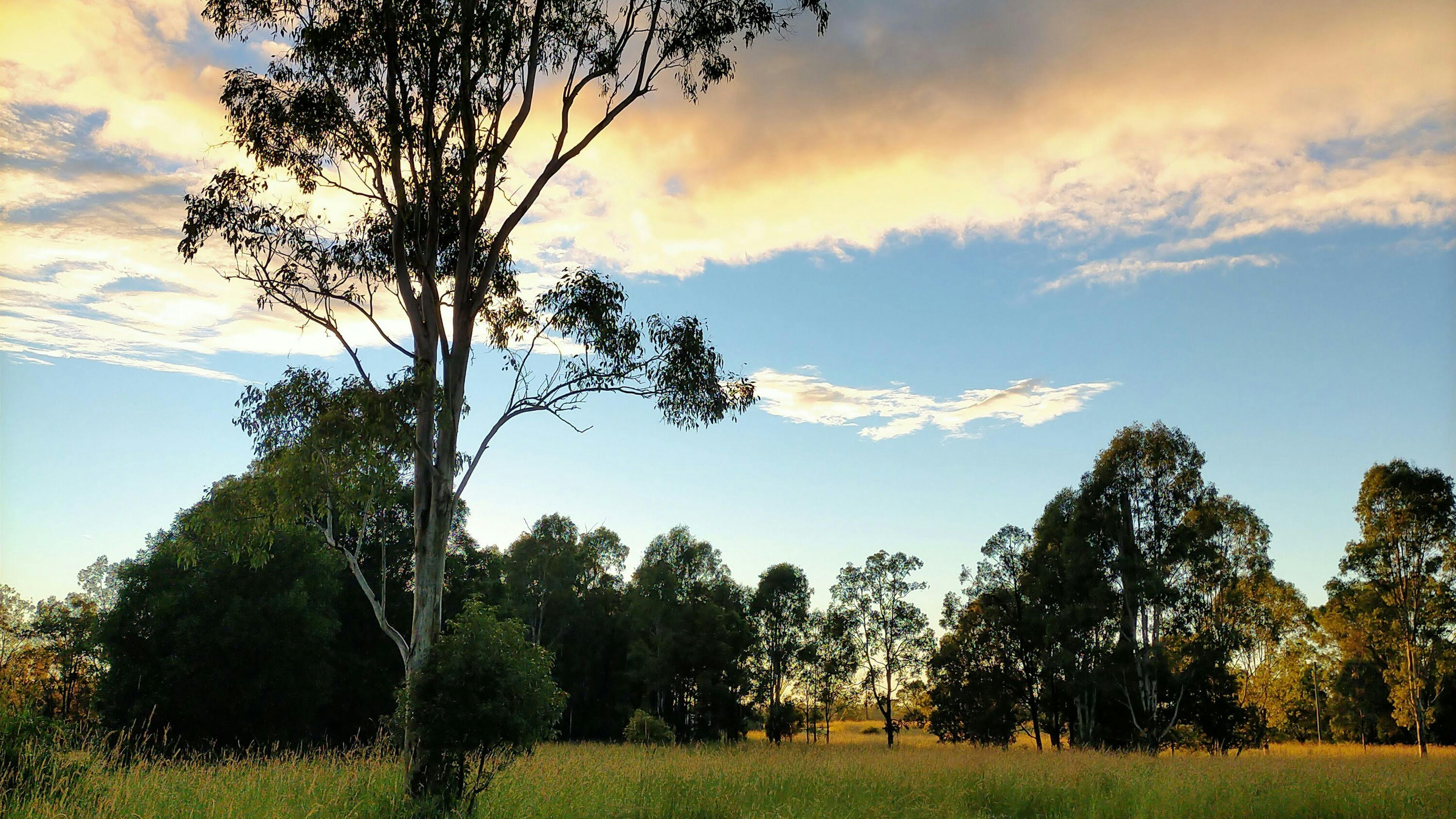 Gracemere Farmstead Camping