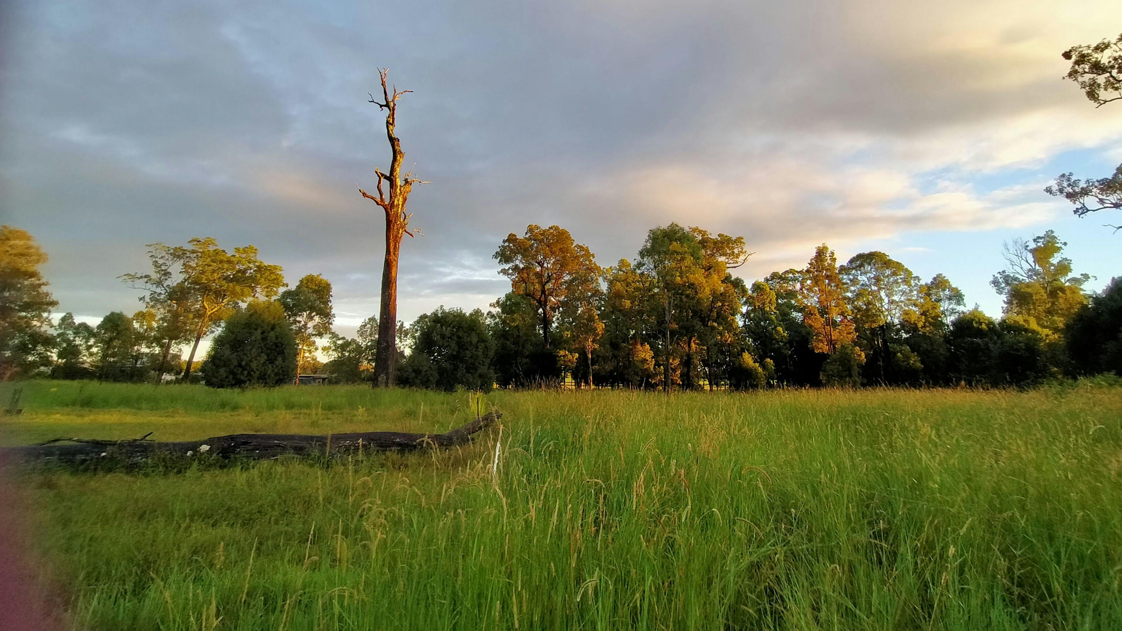 그레이스미어 팜스테드 캠핑