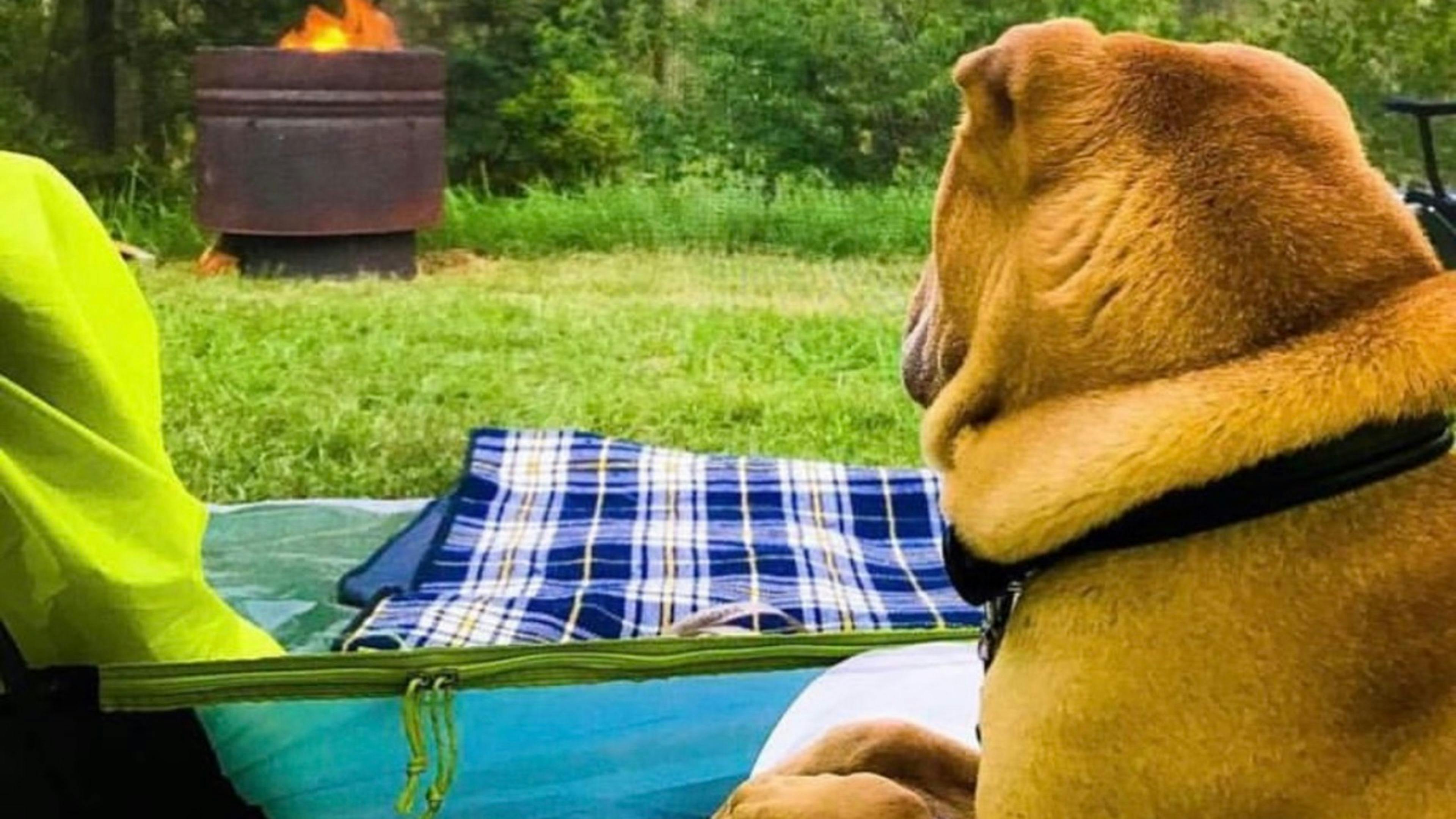 Grady's Riverside Retreat