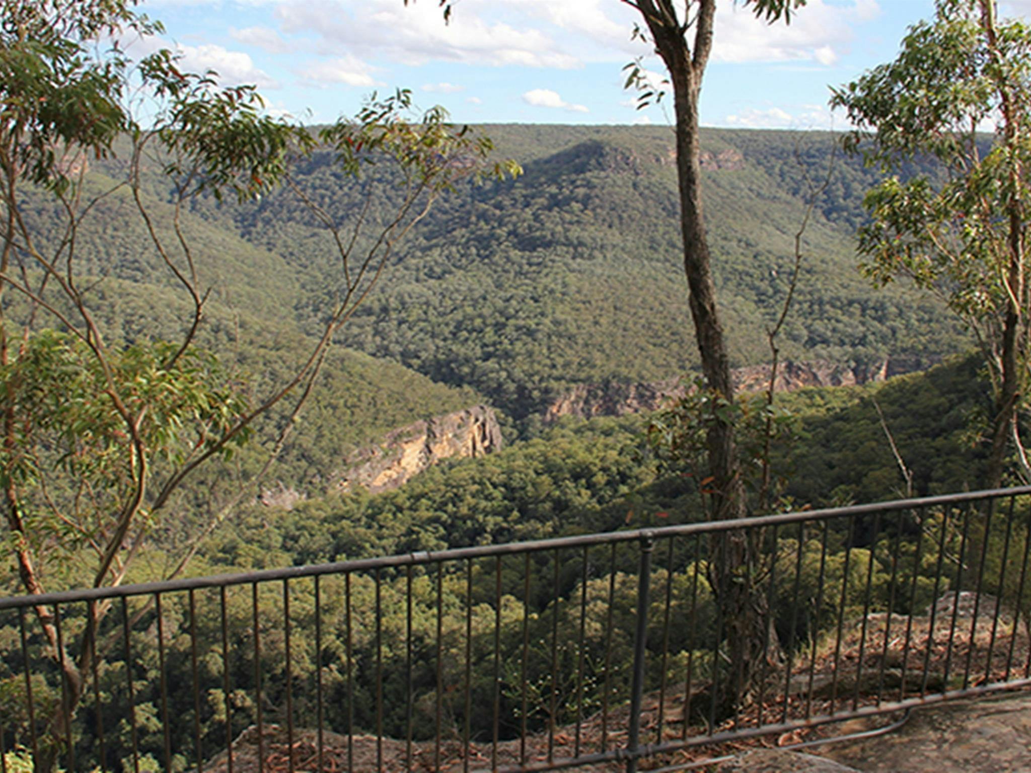 Aussichtsplattform und Geländer am Grand Canyon mit Blick auf Tal und Wald. Foto: John Yurasek/OEH.