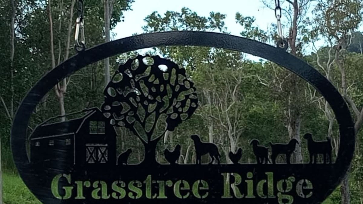Grasstree Ridge