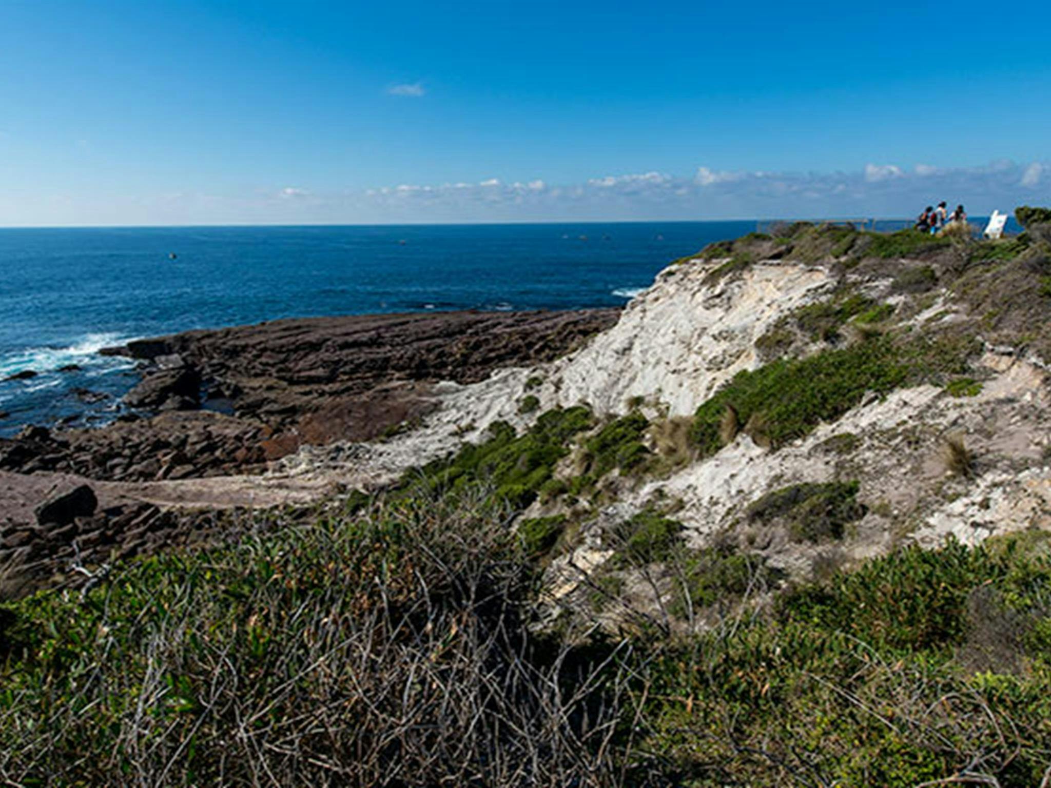 Green Cape lookout, Beowa National Park. Photo: John Spencer